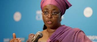 Nigeria to Spend Seized Money on Rural Electrification