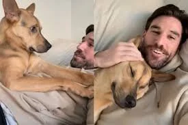 Video of Rescue Dog Demanding Cuddles From Owner Goes Viral on Instagram