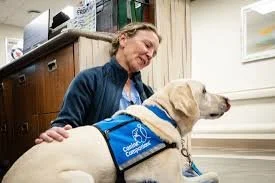 Trained Dogs Working Inside Hospitals Help Ease Burnout Among Health Care Staff
