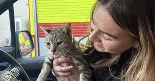 Cleo the Cat is Rescued Alive After Five Days Buried Underground in Scottish City