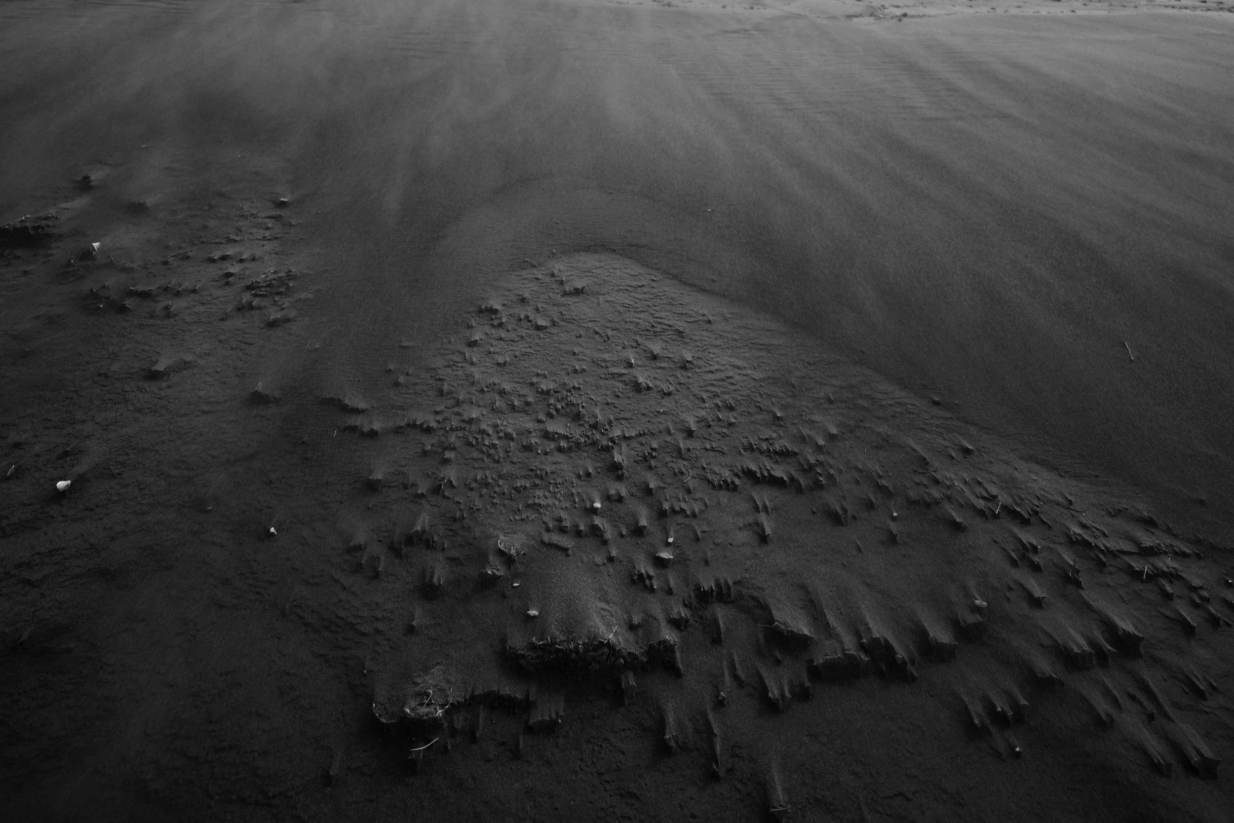 Free Tutorials Banner.jpg