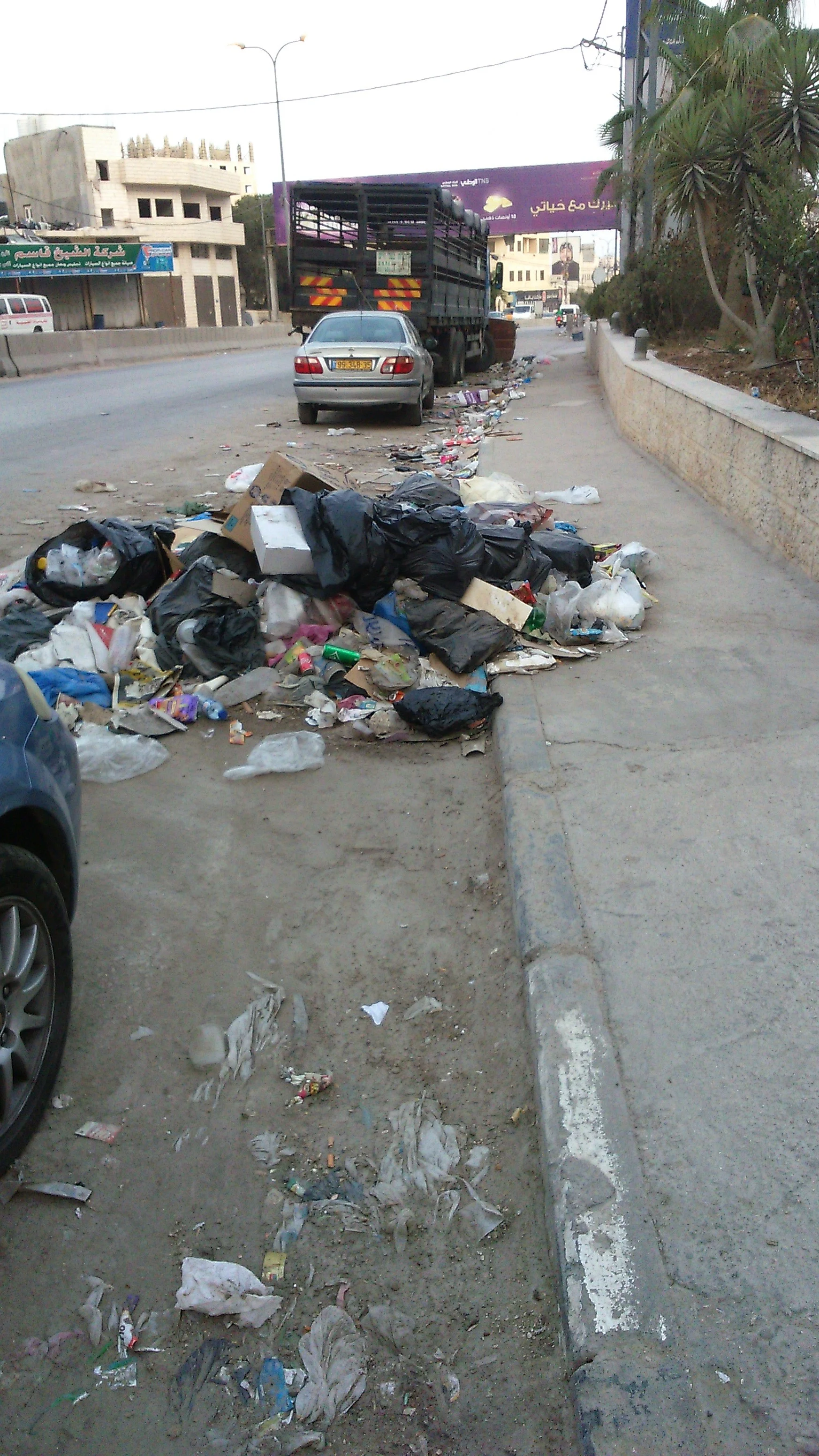   Waste Management &amp; Revenue Studies  