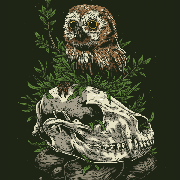 Something in the Woods