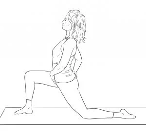 Charlotte_Watts_-_Digestive_Health_1_2745_2480gray-300x271.jpg