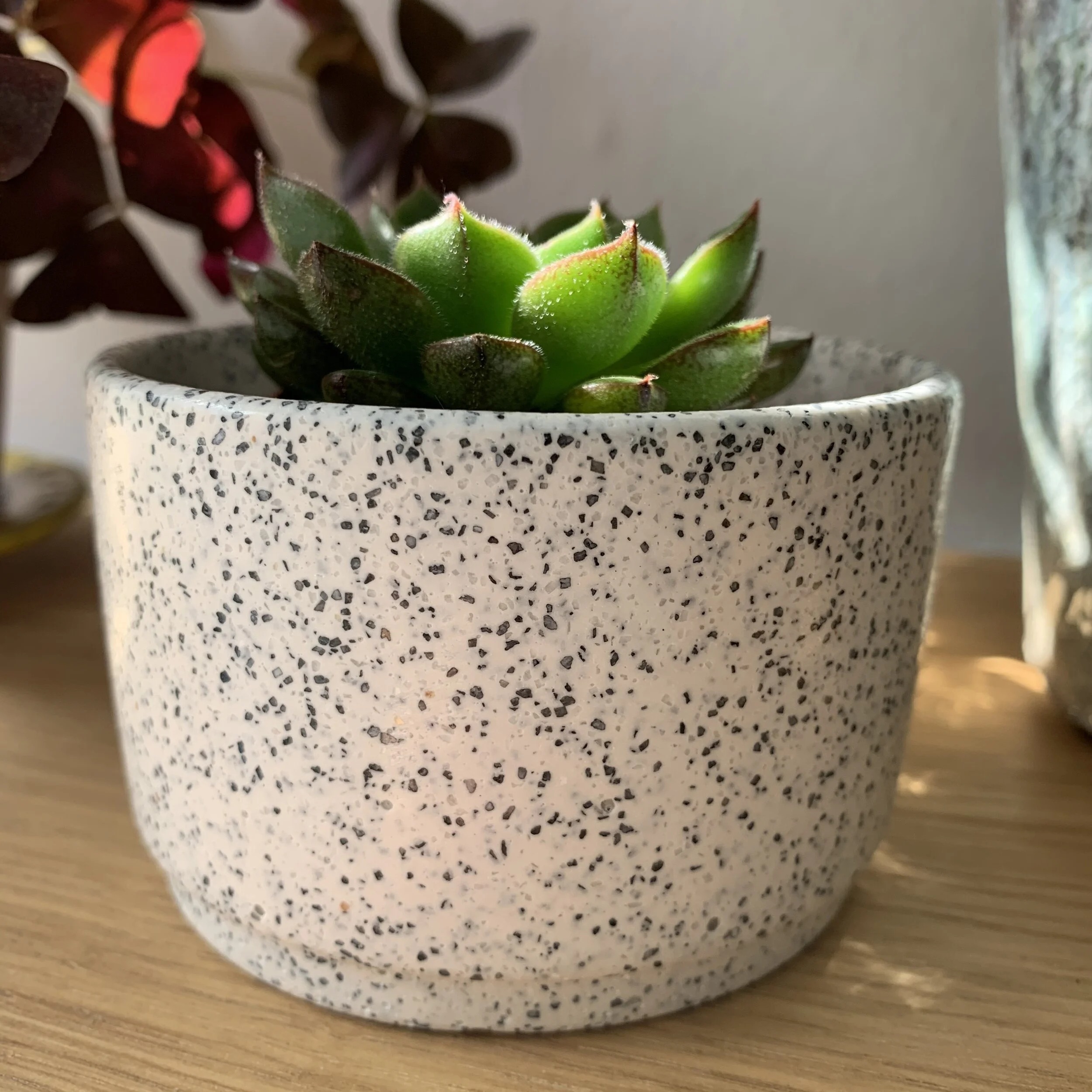 Small plant pot