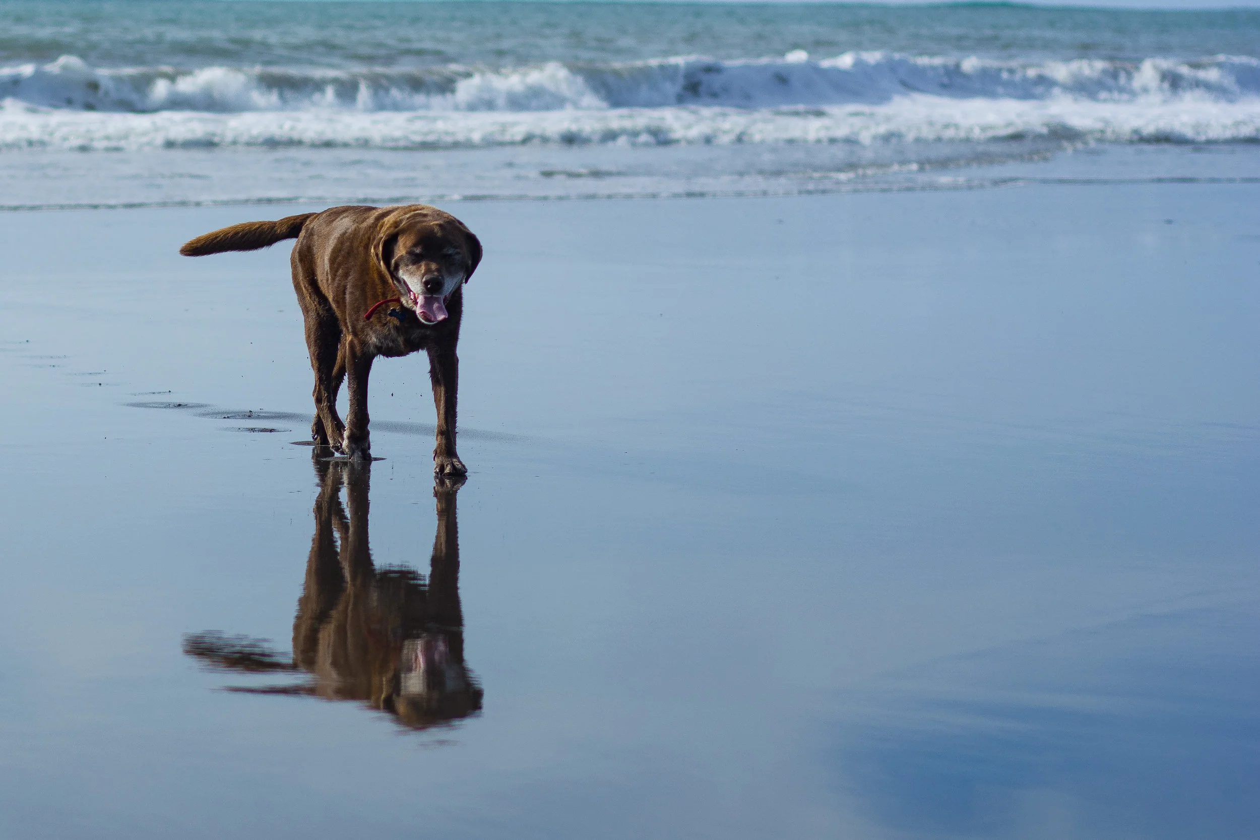 this shot was taken literally minuets after arriving at the beach! &nbsp;