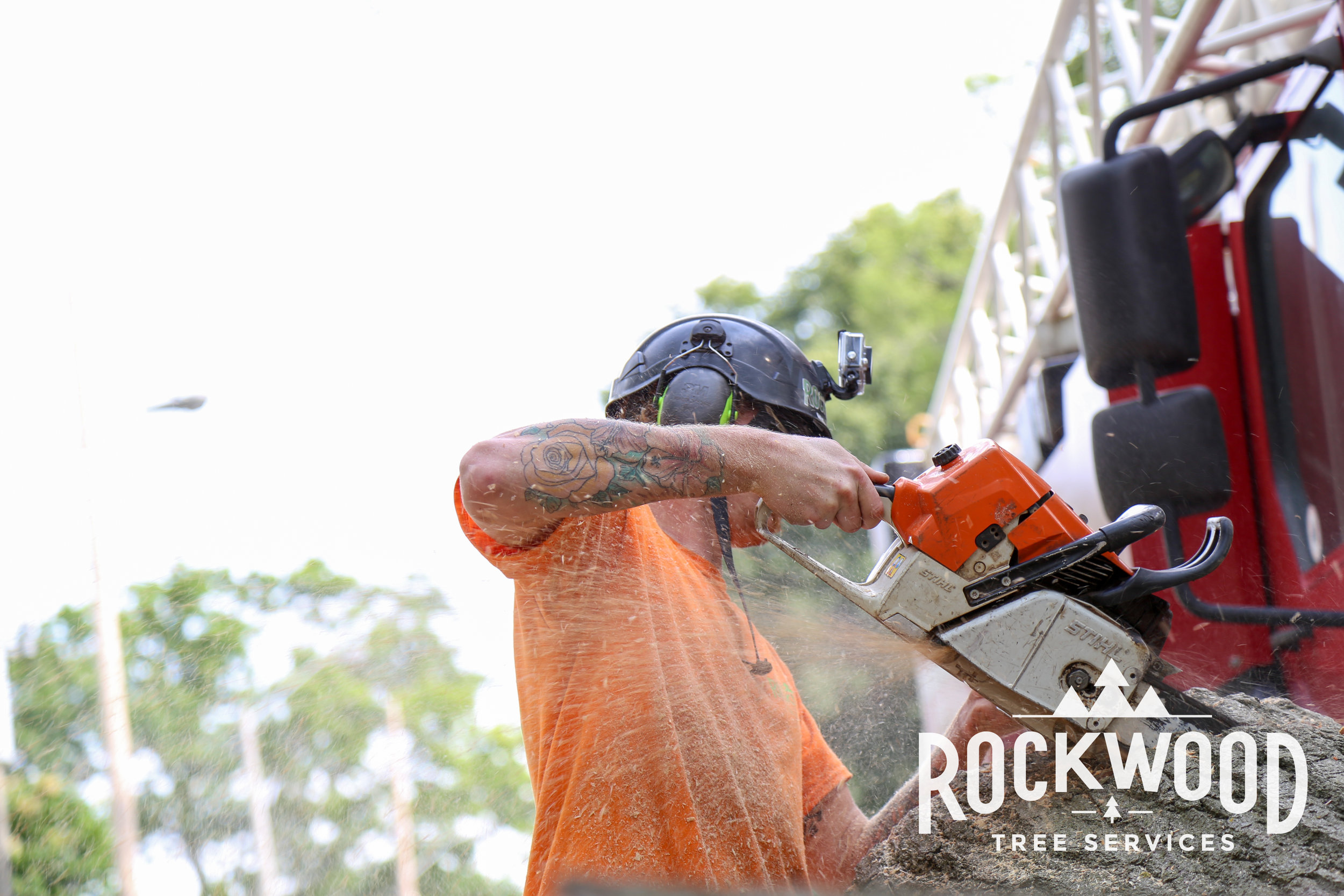 ROCKWOOD Logo 6-172.jpg