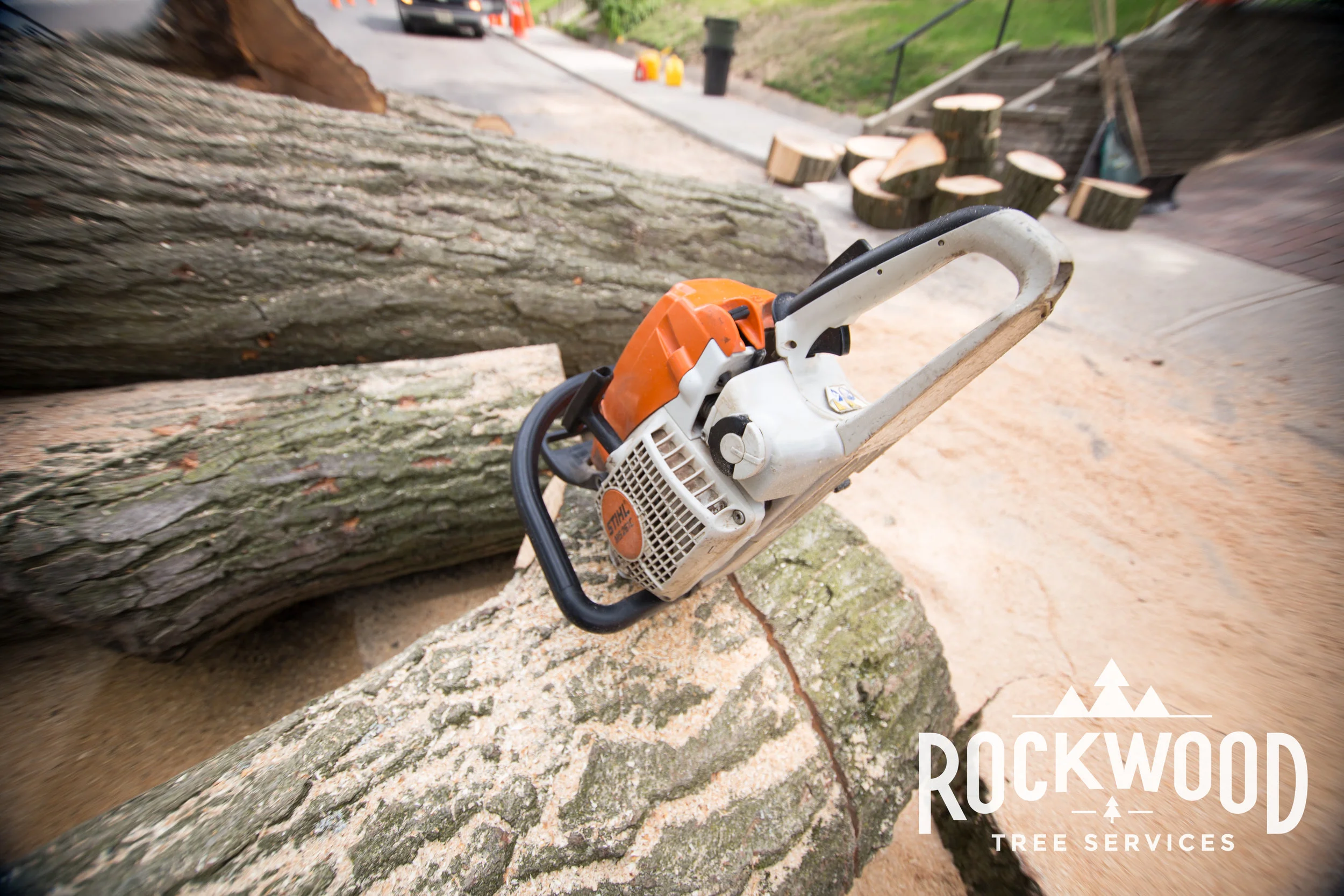 Dylan and the guys at Rockwood Tree Service did an excellent job! Highly recommended, very professional and all around a pleasure to have around. - Robert L. 2/17/2016