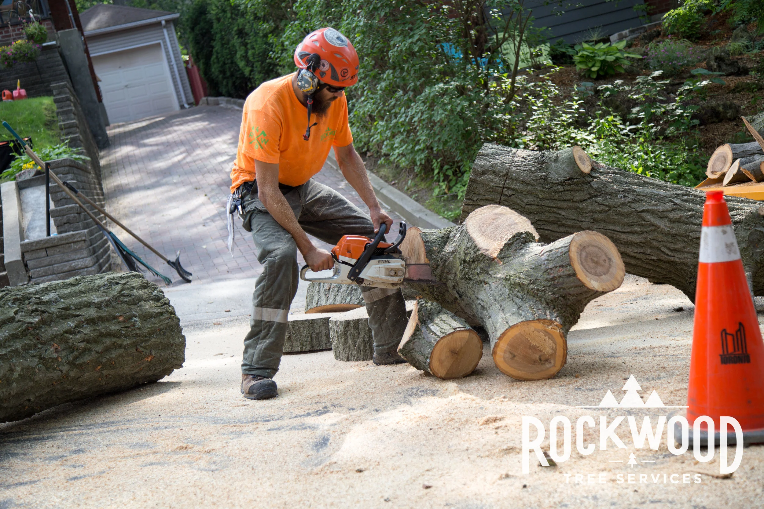 Great Service We were very pleased with the work done by Rockwood Tree Service. Dylan was very profession and helpful and gave us a great estimate to cut down a dead tree, tidy up the old maple tree and remove overgrown bushes and shrubs. They worked very quickly and cleaned up the yard nicely before leaving. I would definitely use their service again. - Anita D. 8/25/2015