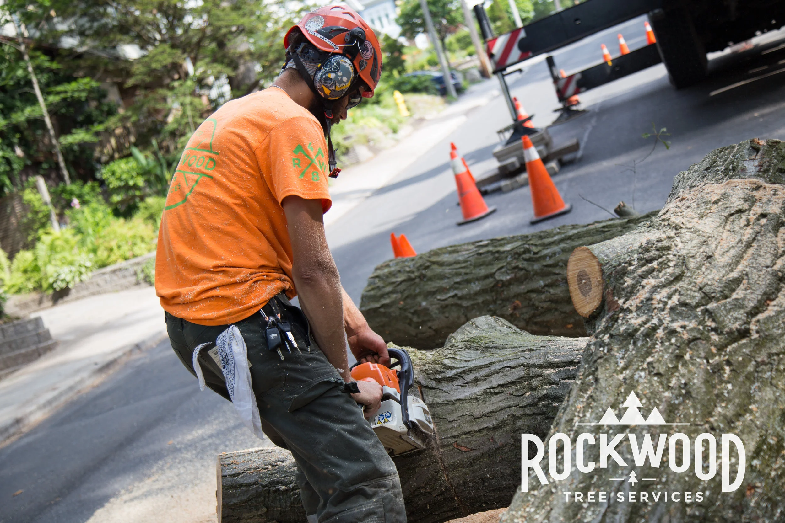 Rockwood Tree Services (6 of 351).jpg