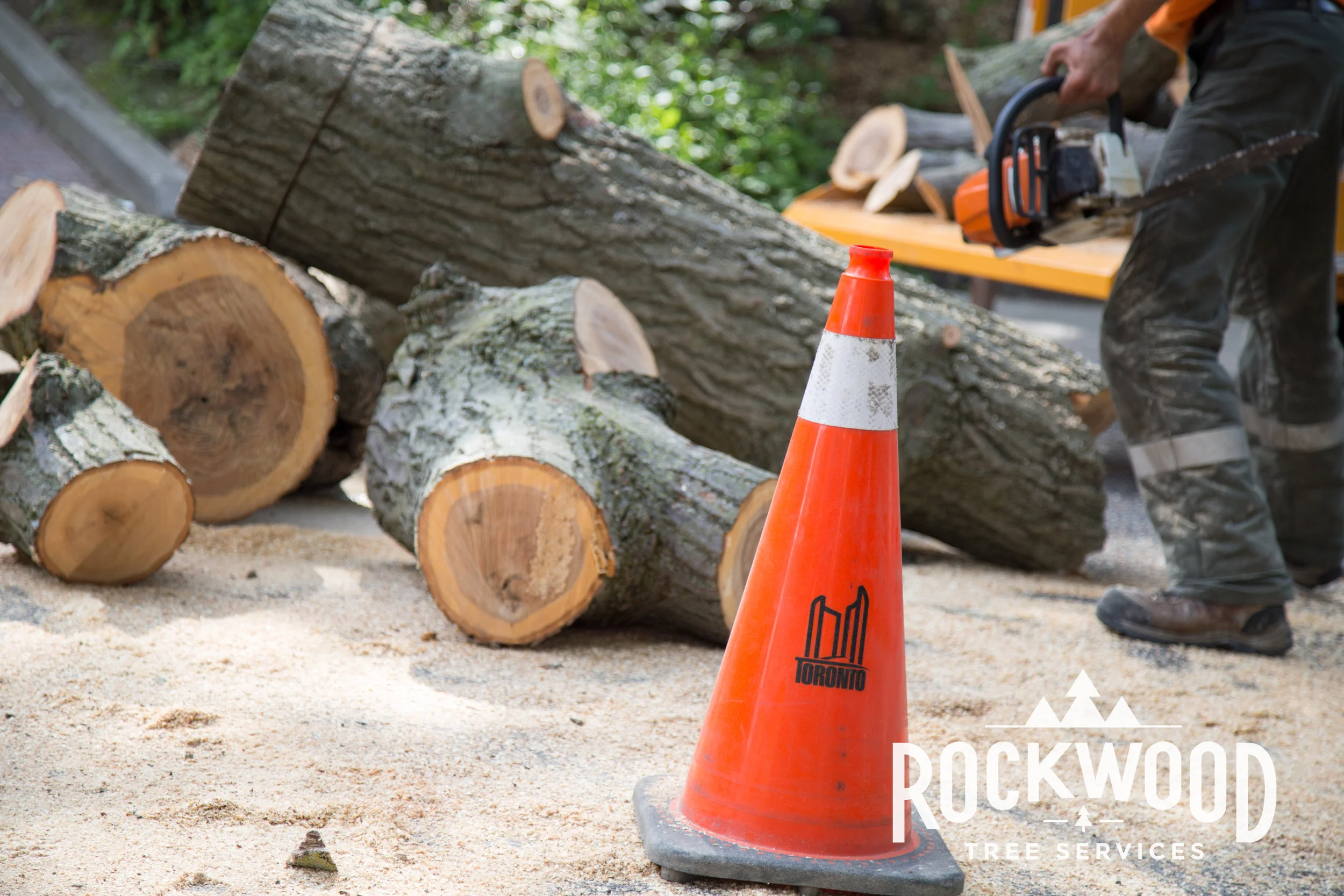 Rockwood Tree Services (28 of 351).jpg