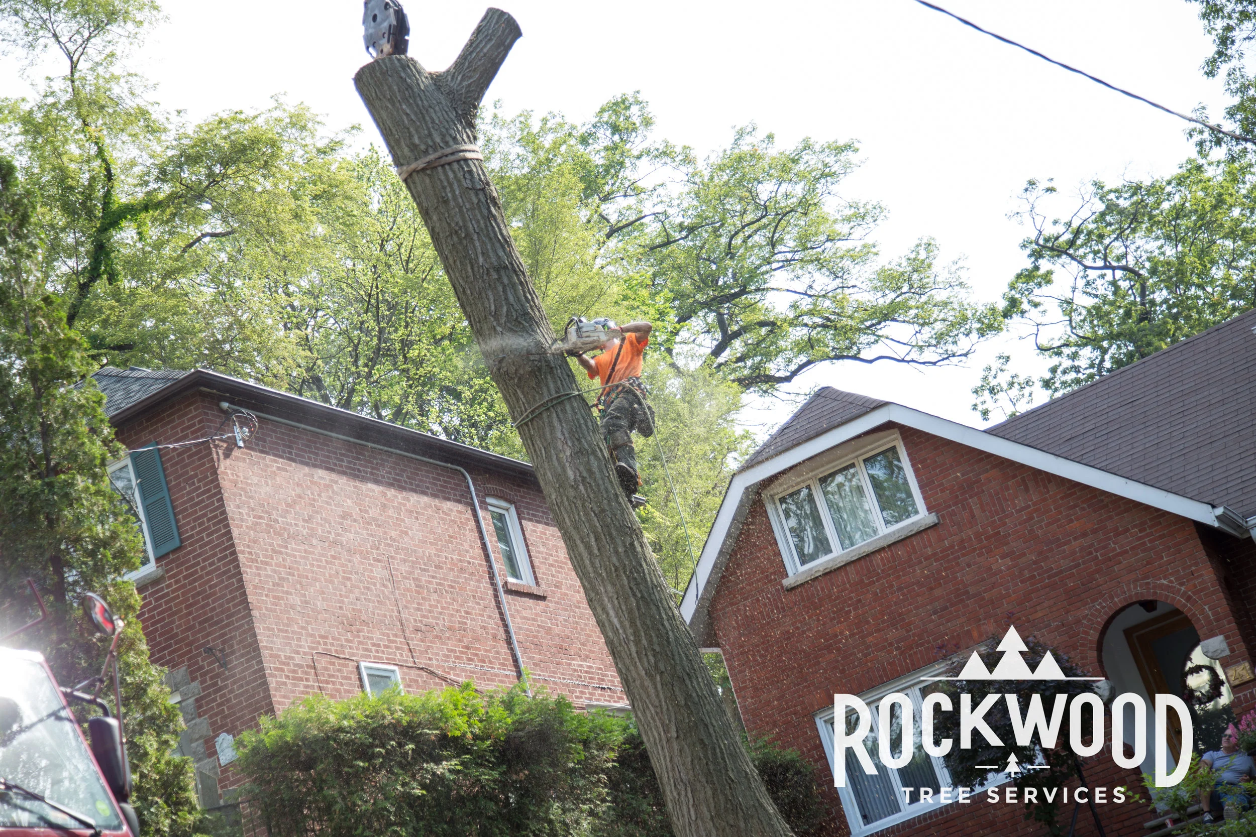 Rockwood Tree Services (23 of 351).jpg