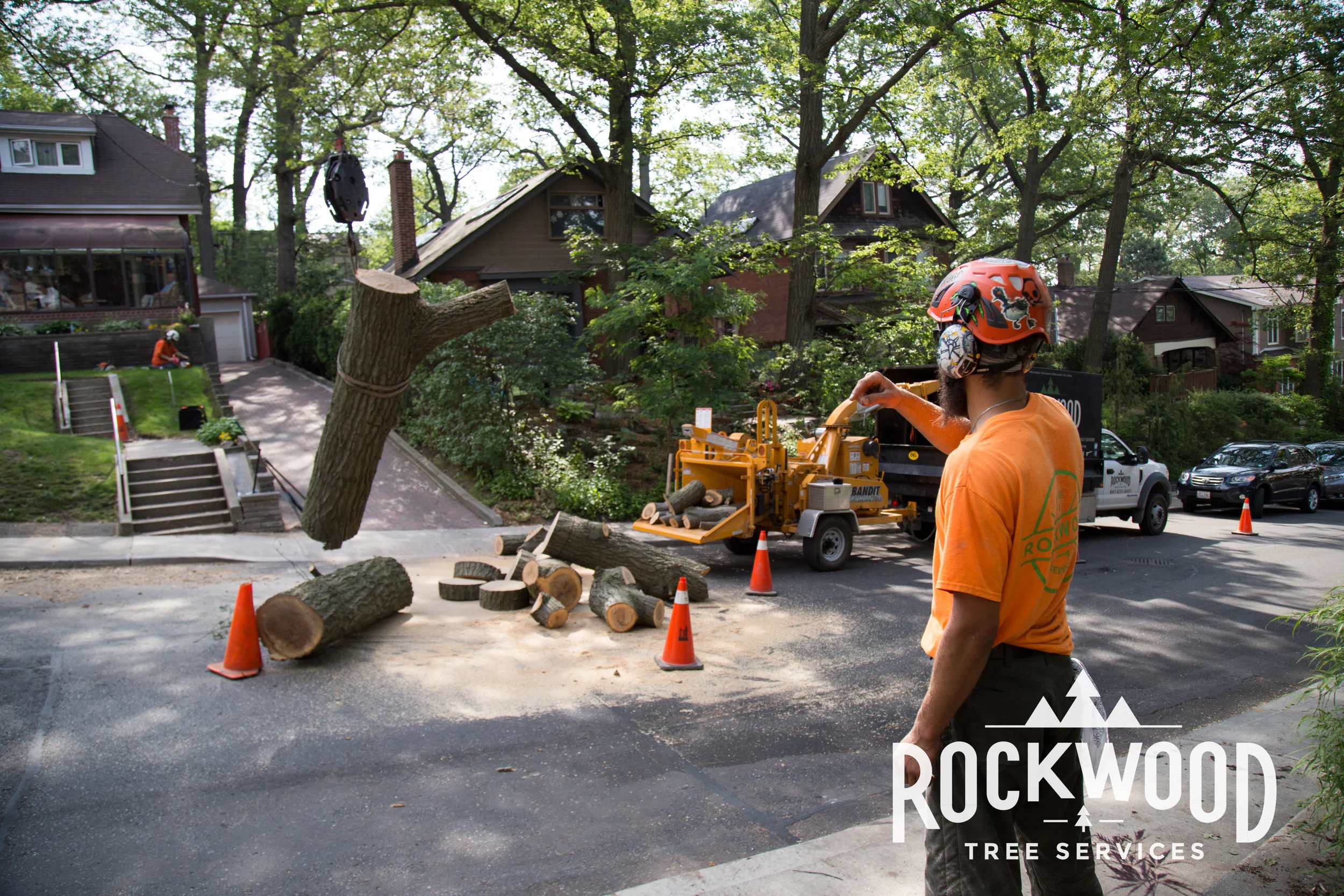 Rockwood Tree Services (42 of 351).jpg