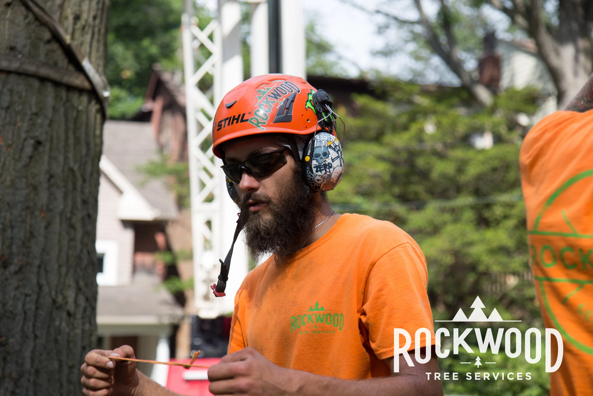Rockwood Tree Services (90 of 351).jpg