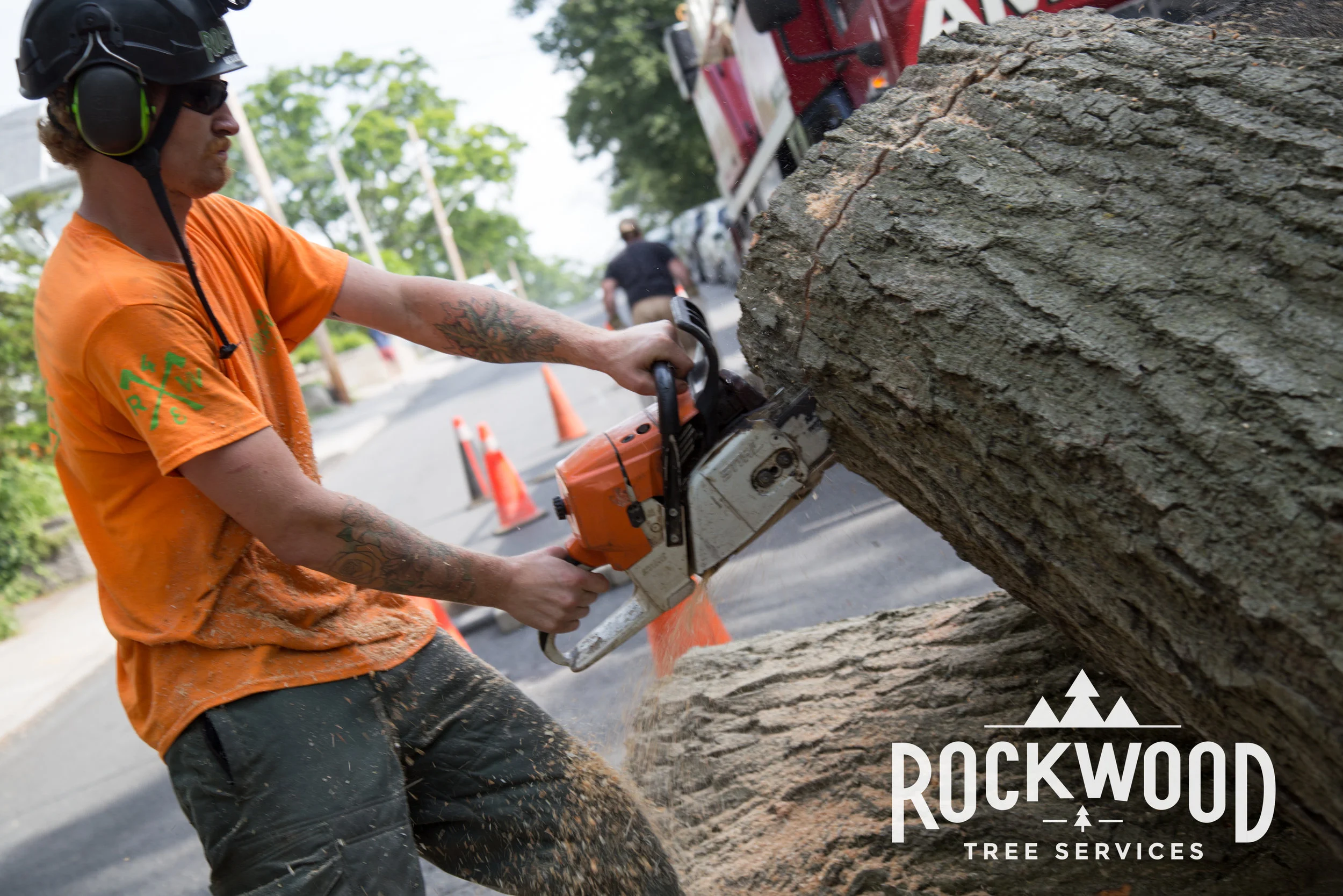 Rockwood Tree Services (118 of 351).jpg