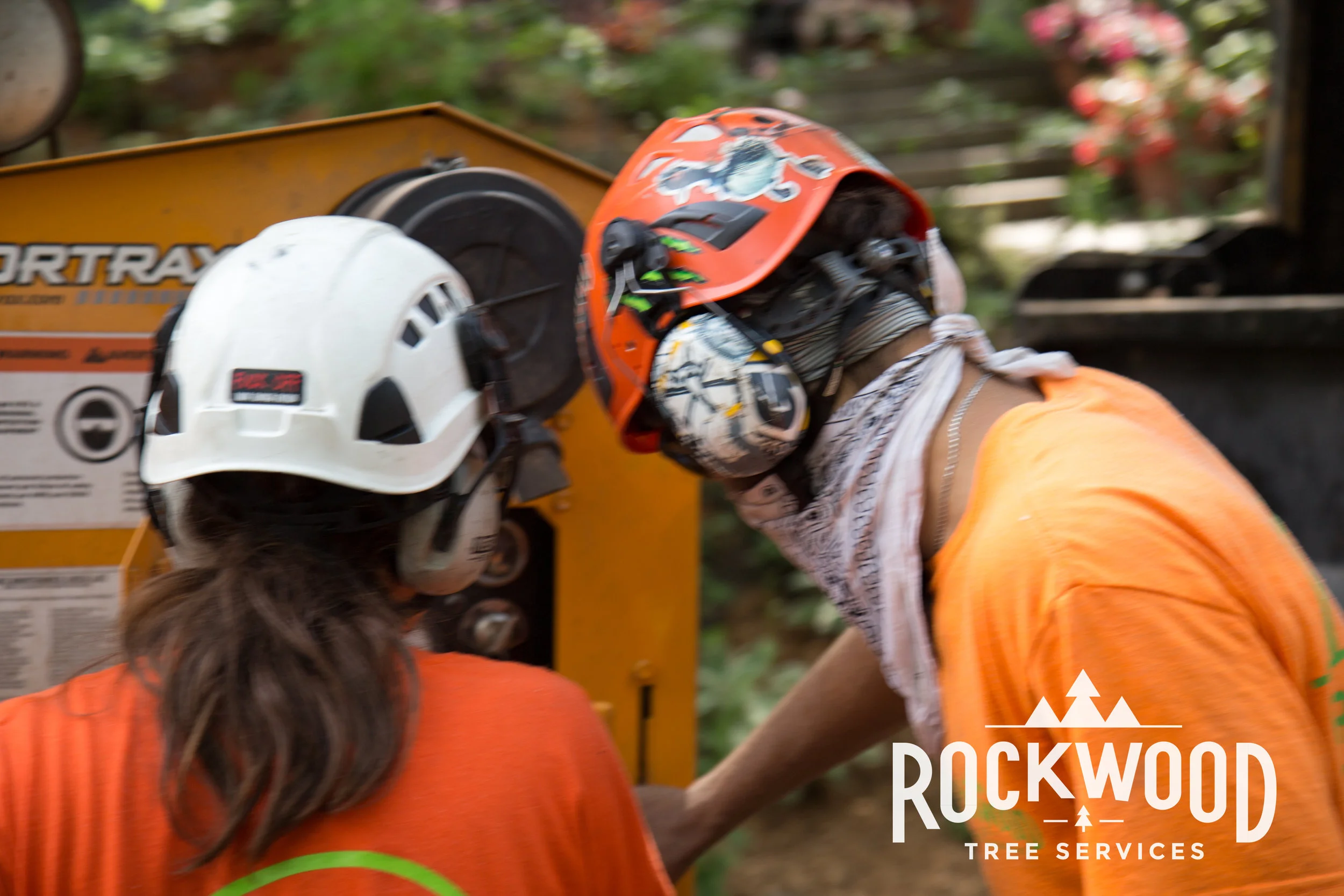 Rockwood Tree Services (134 of 351).jpg
