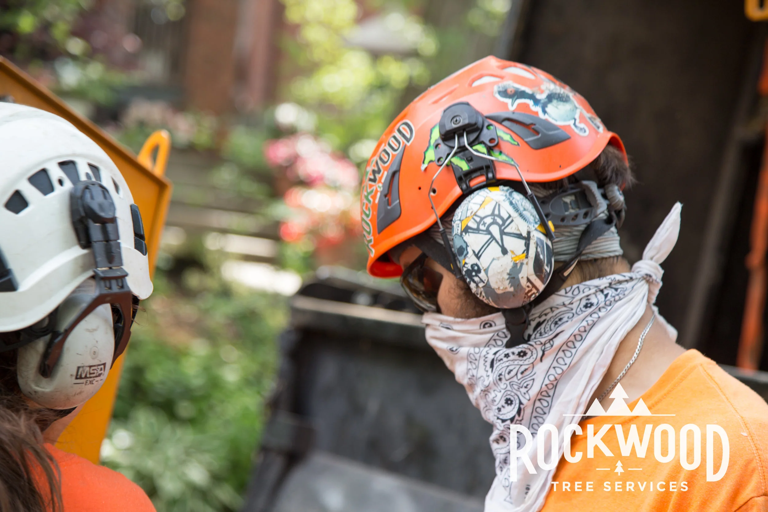 Rockwood Tree Services (142 of 351).jpg