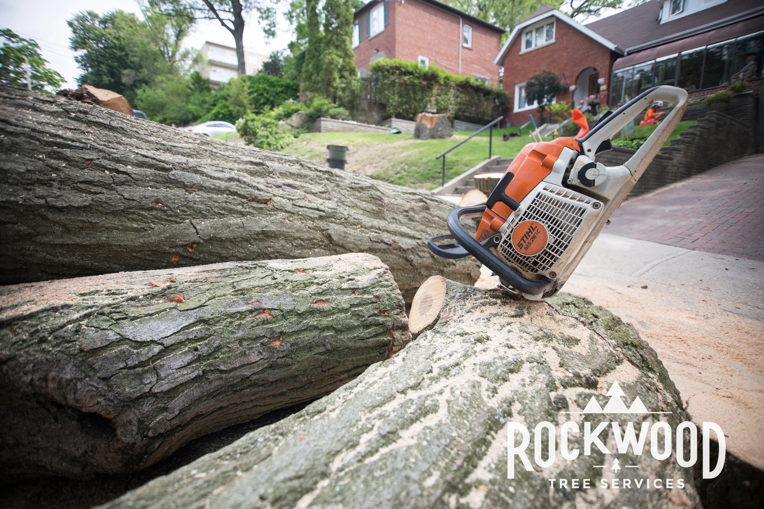 Rockwood Tree Services (197 of 351).jpg