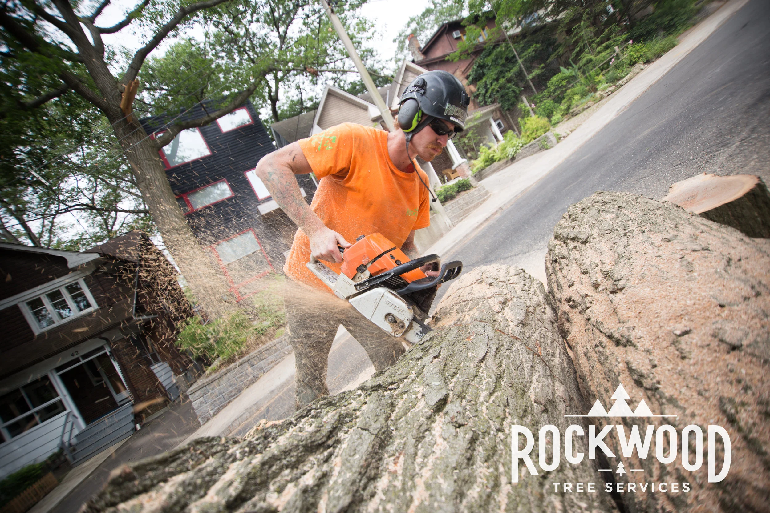 Rockwood Tree Services (240 of 351).jpg