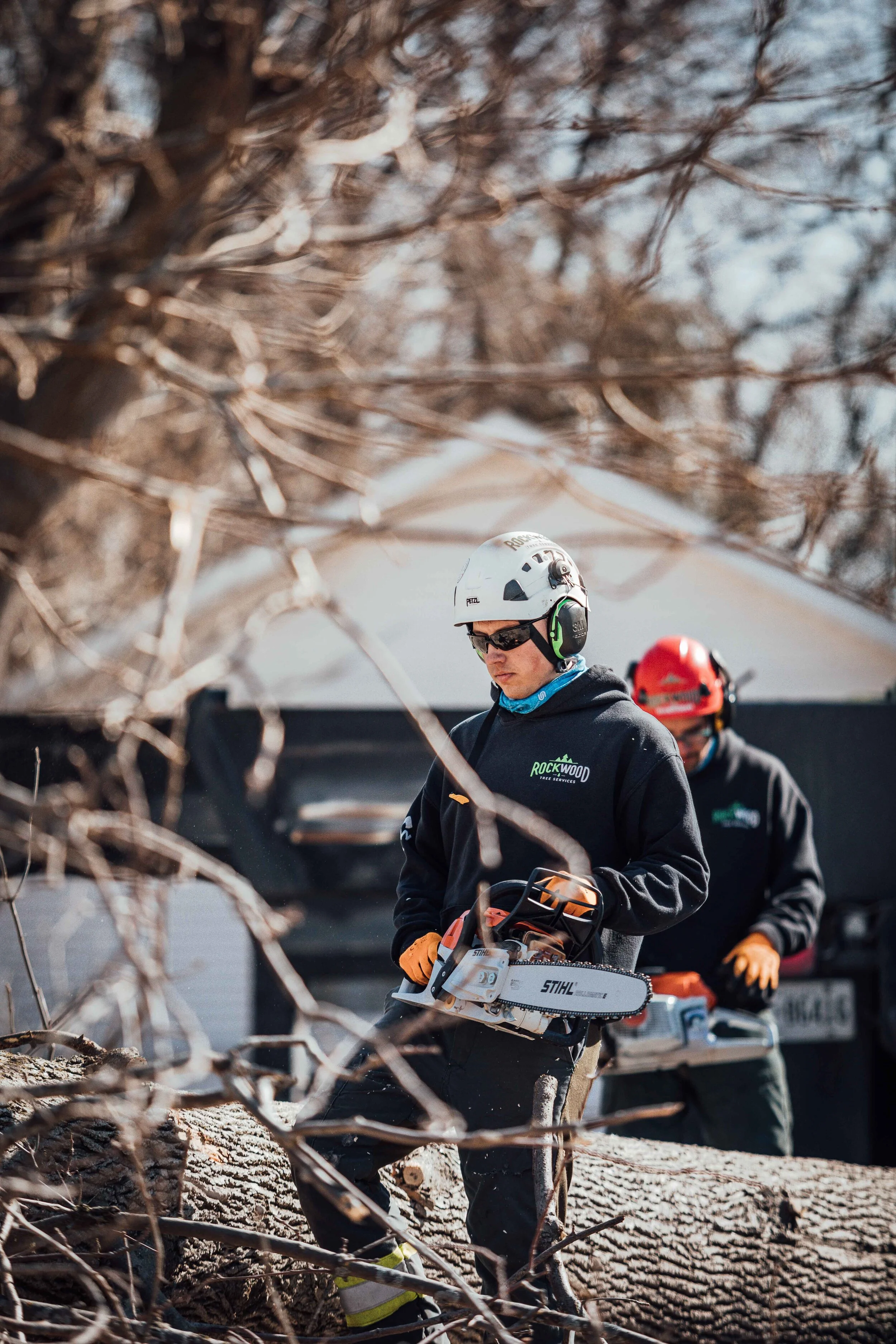 Tree Maintenance — Rockwood Tree Services