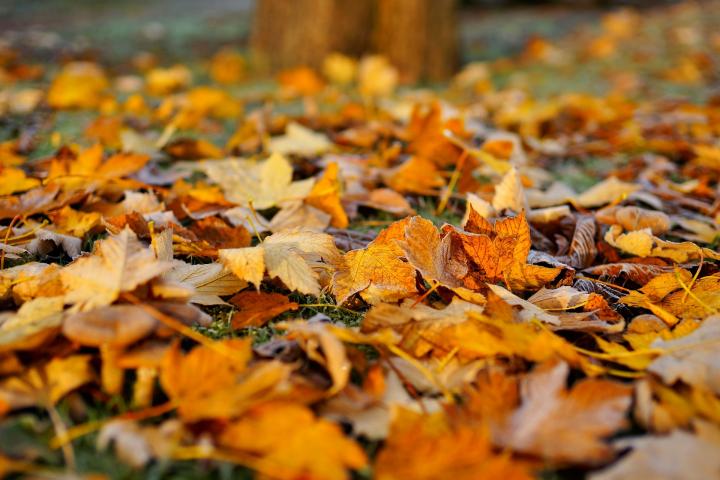 8 Self-Care Tips for the 2018 Fall Season
