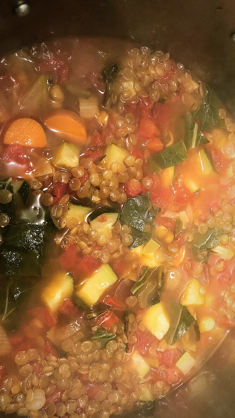 Lyndsey's Lentil Vegetable Soup