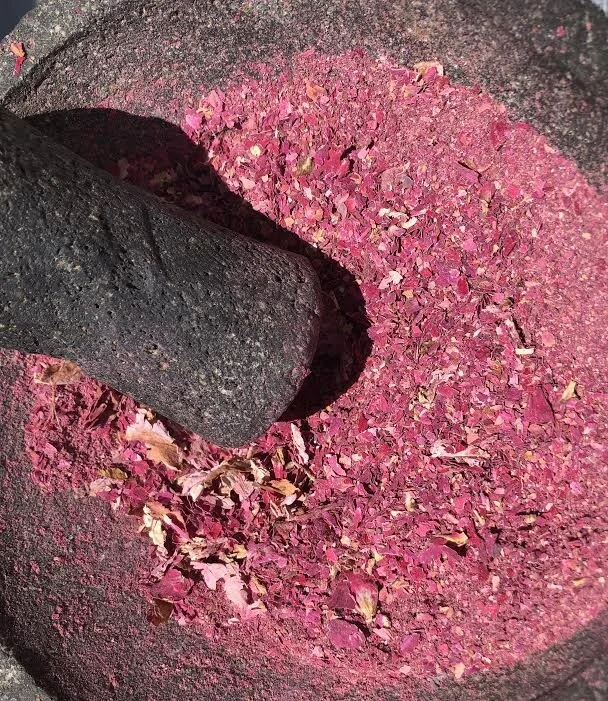 I have been sun-drying organic roses from my garden and hand-grinding them to make you divine scrubs and ritual soak.