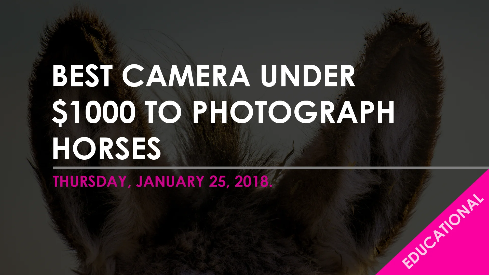 Blog Template - best cam $1000.jpg