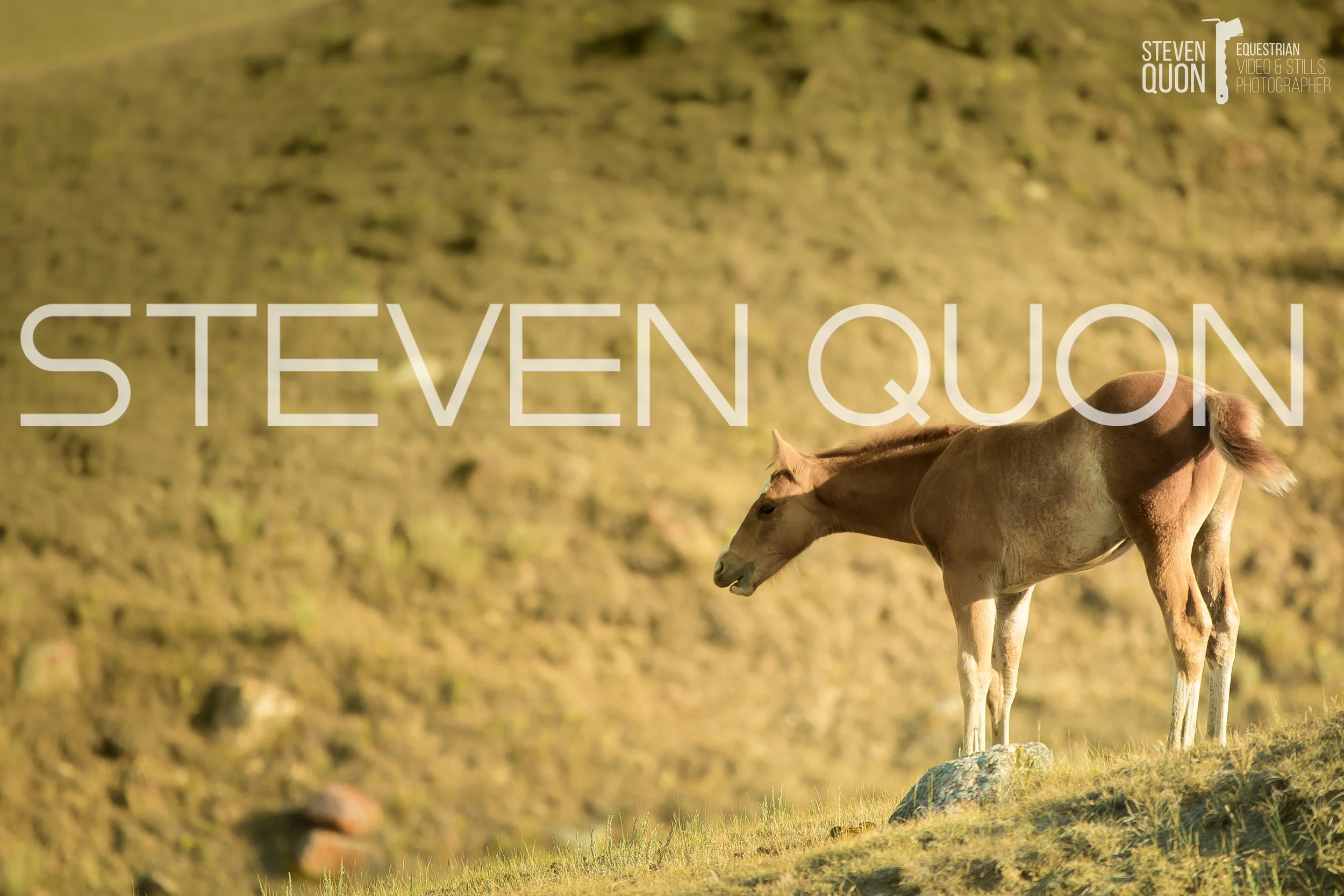 2018_HBH_FFQH_SUM-001