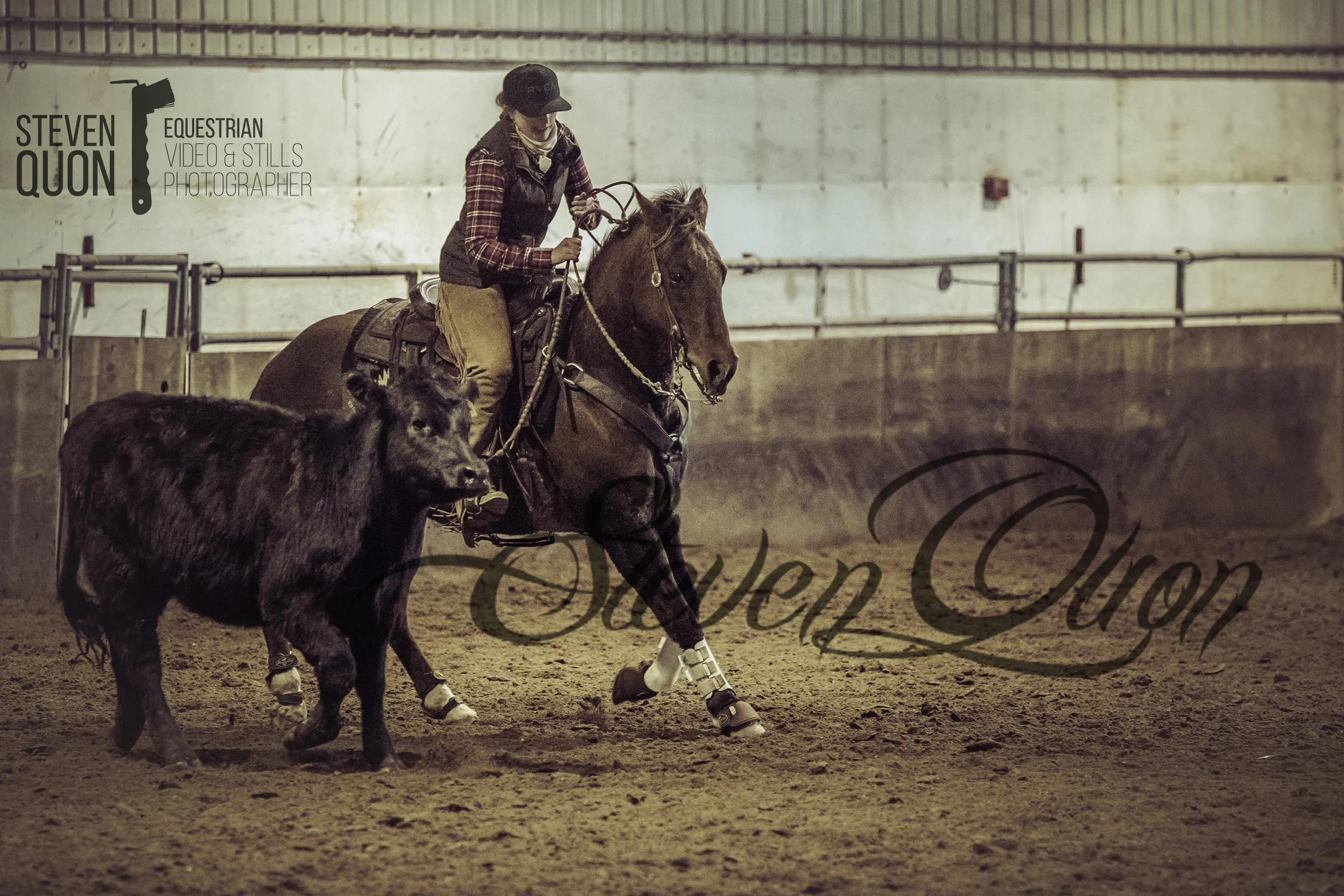 DSC_3446.jpg