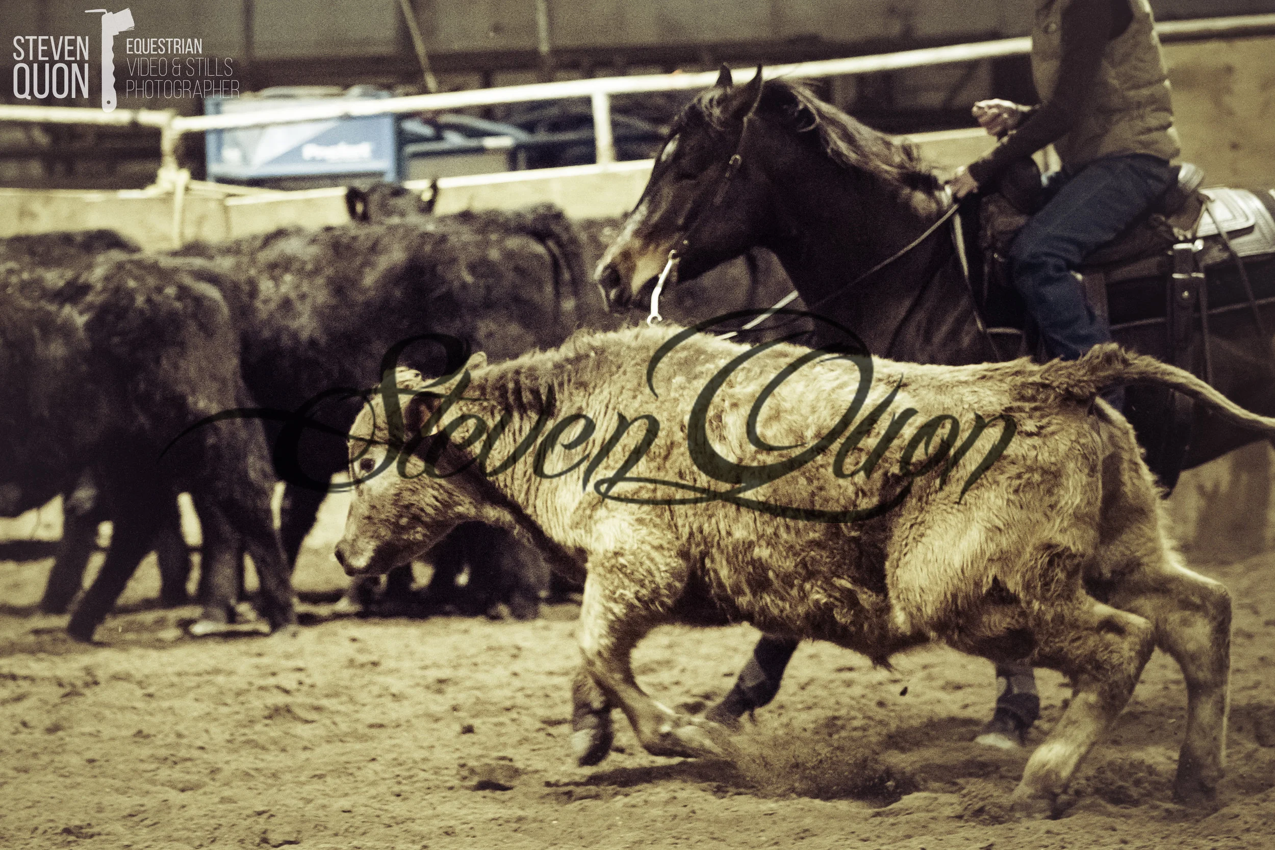 DSC_3368.jpg