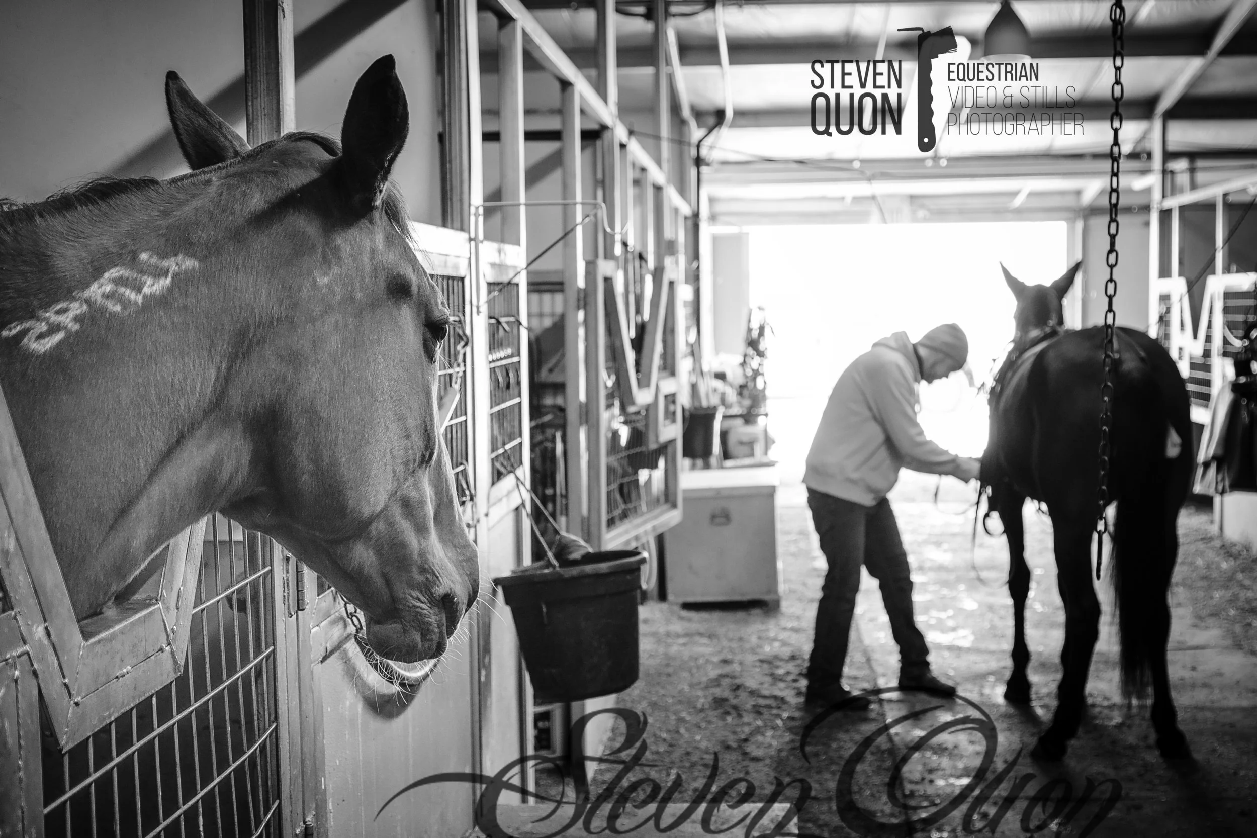 DSC_8080_grayscale.jpg