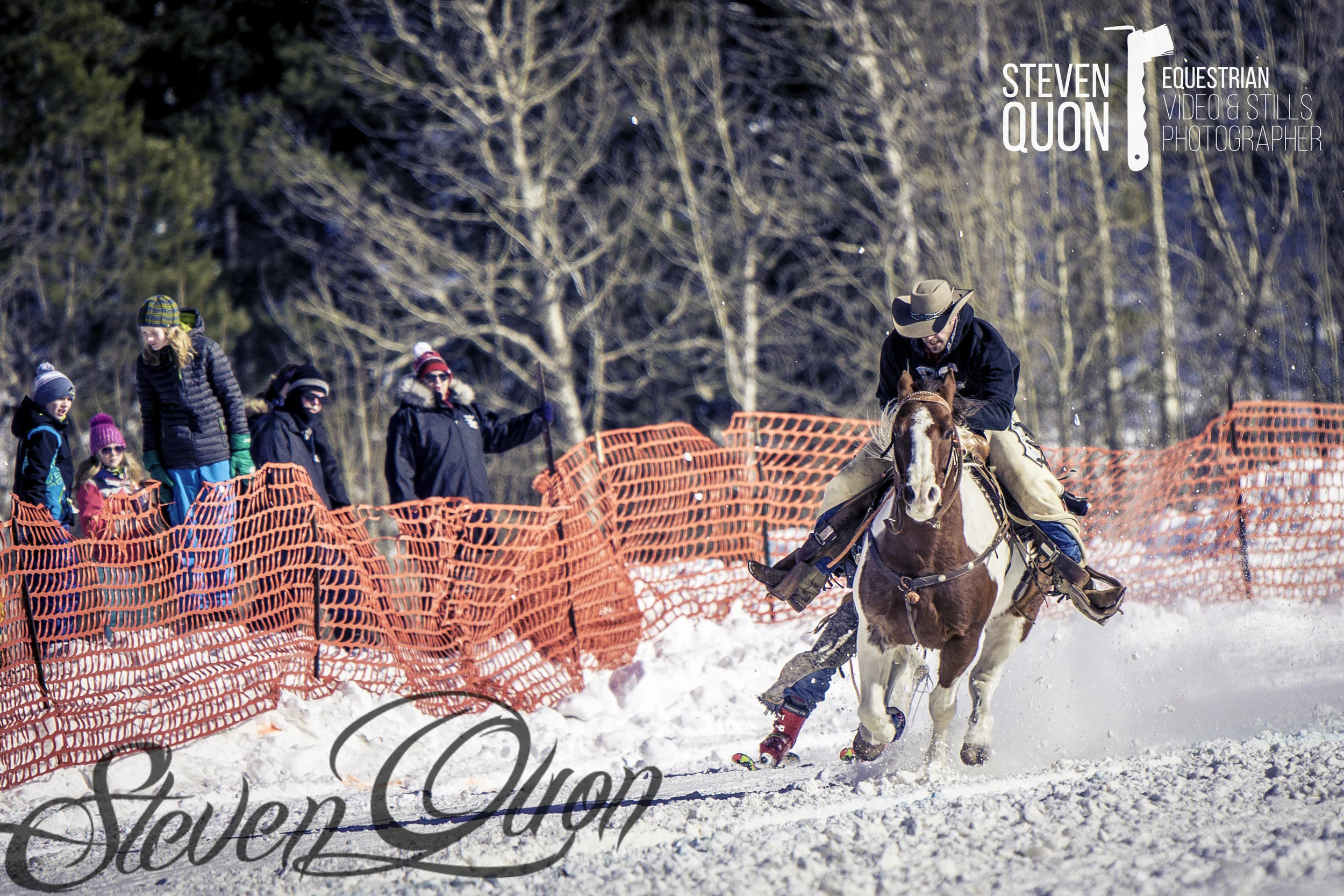 DSC_2419.jpg