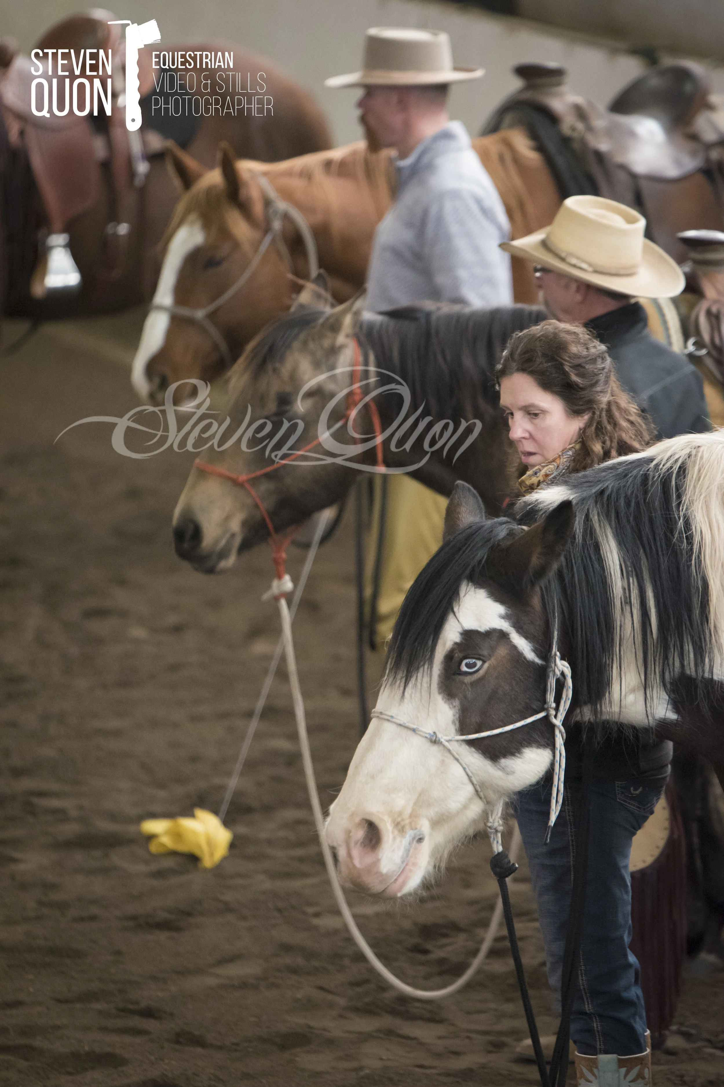 DSC_0803.jpg