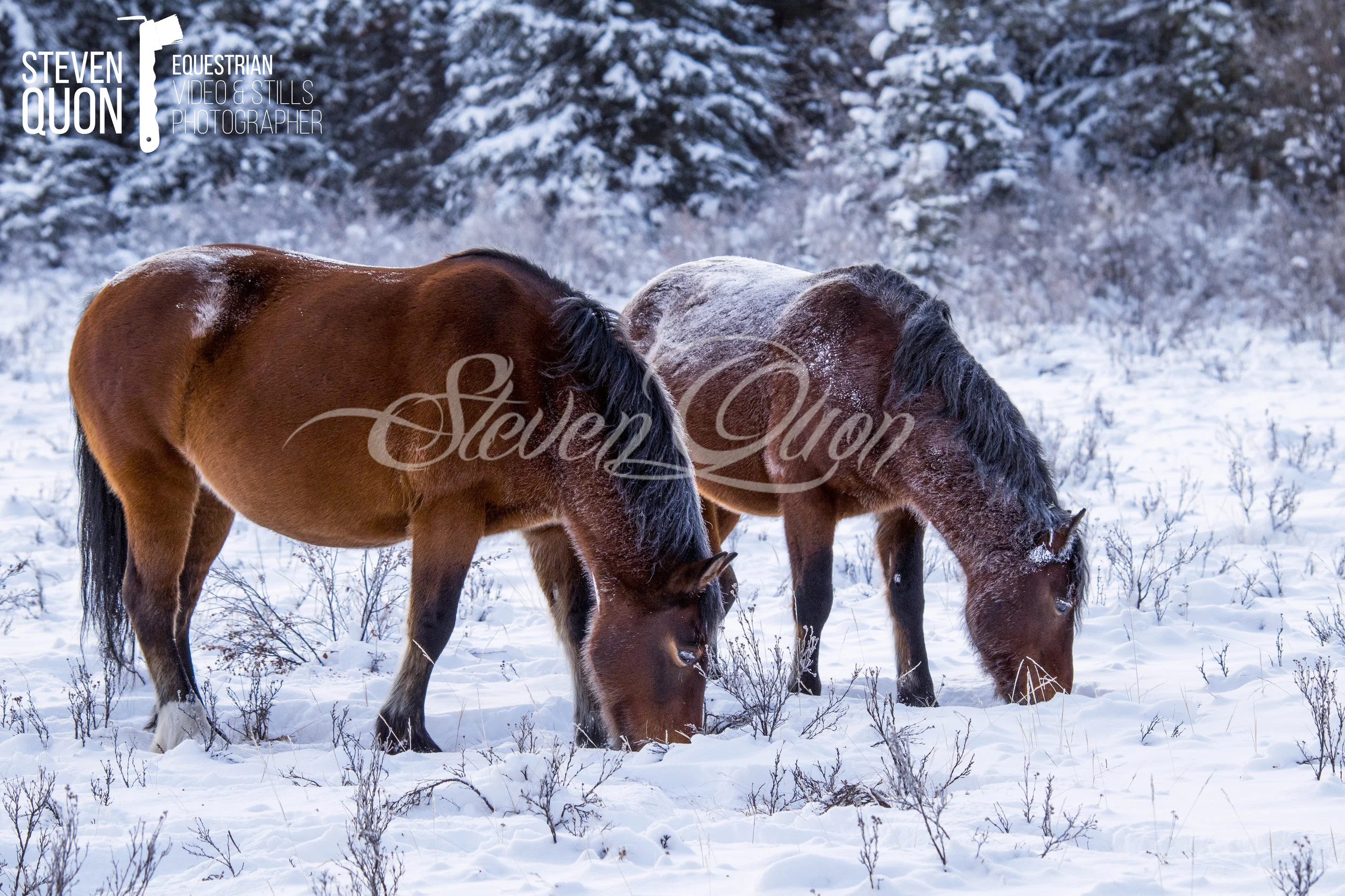 DSC_6982.jpg