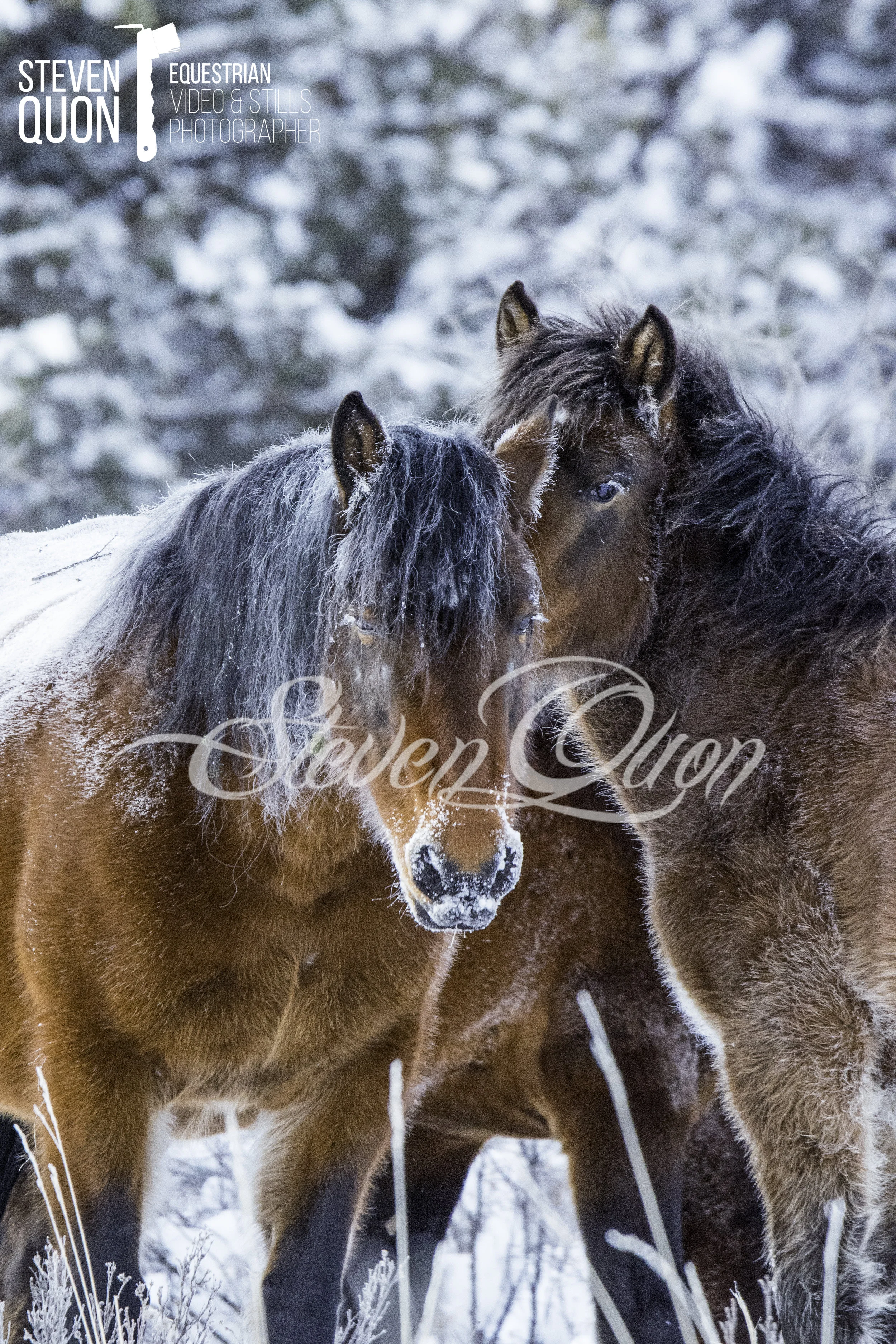 DSC_6965.jpg