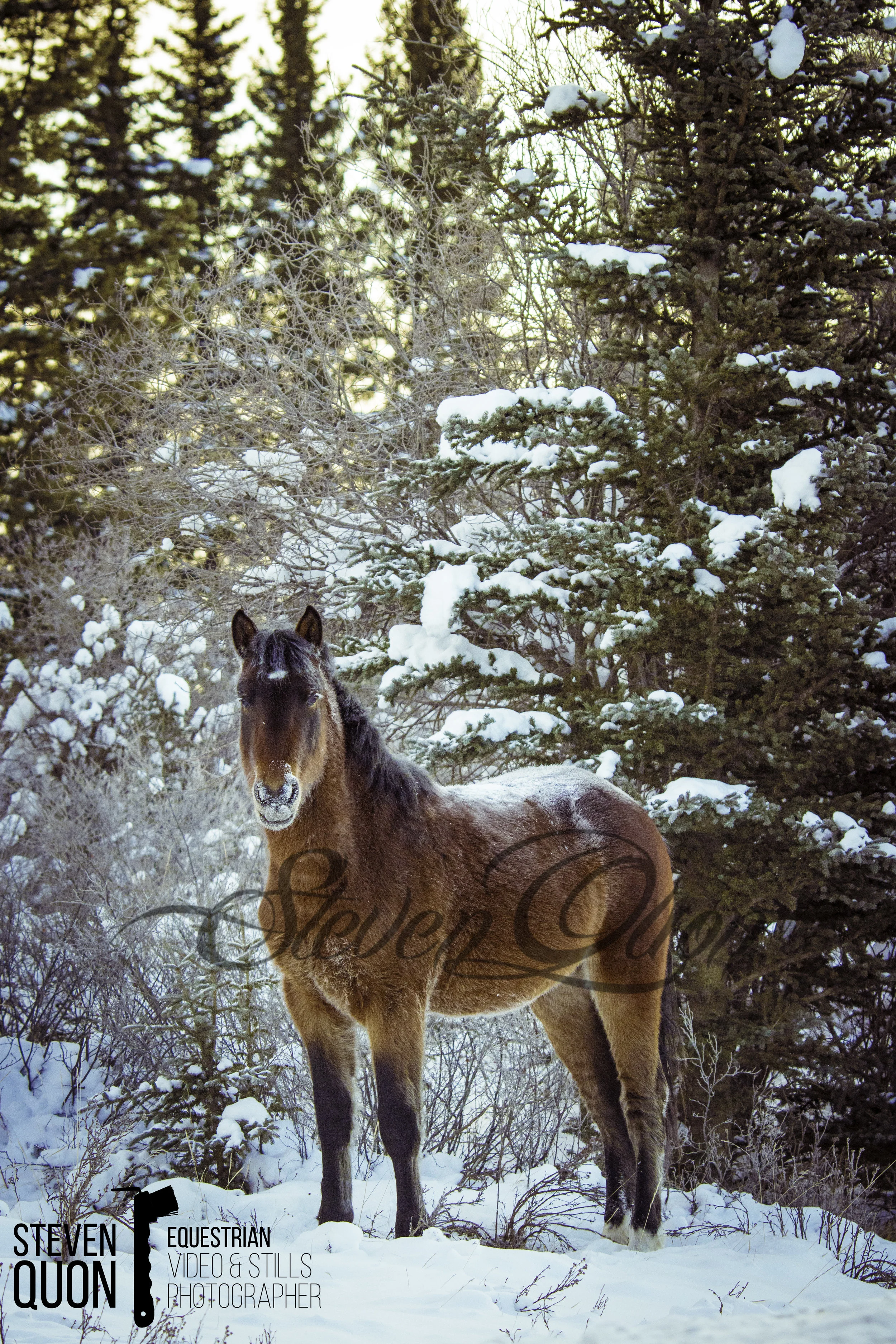 DSC_6880.jpg