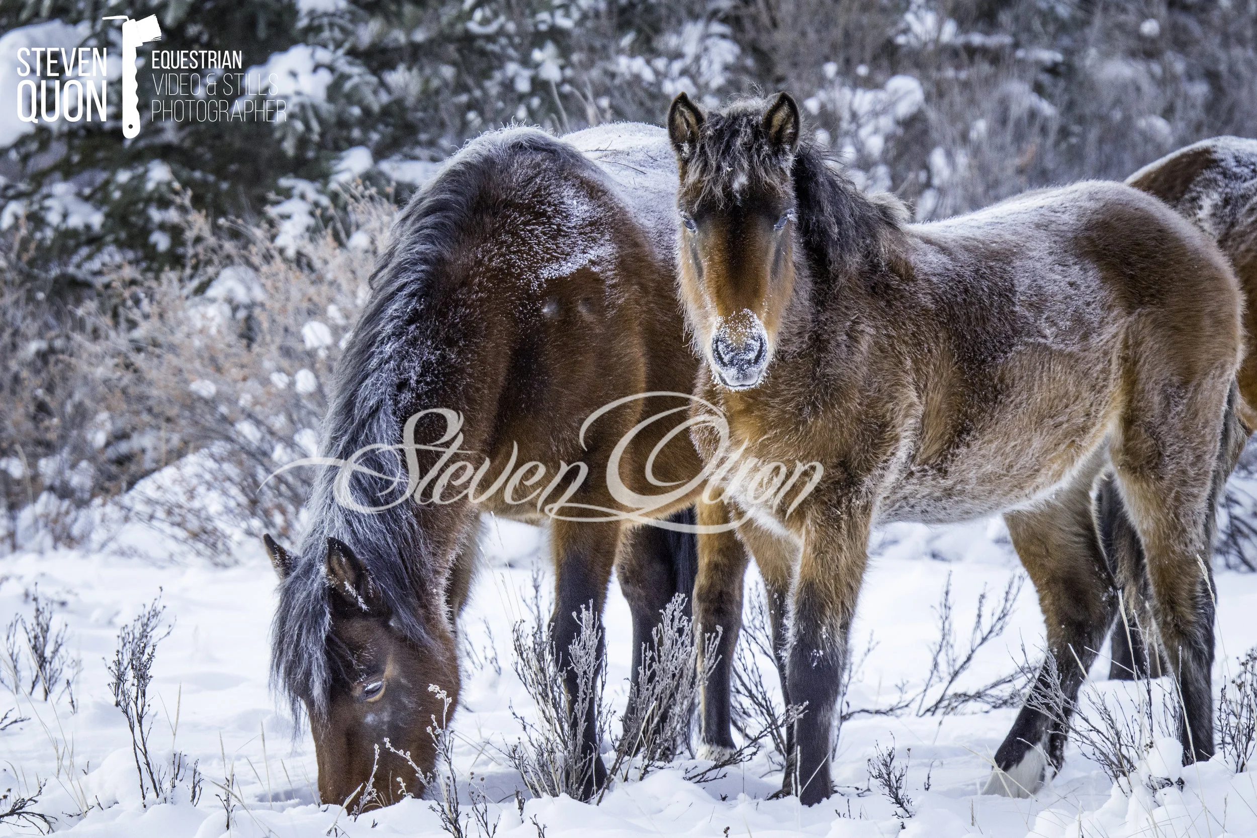 DSC_6976.jpg