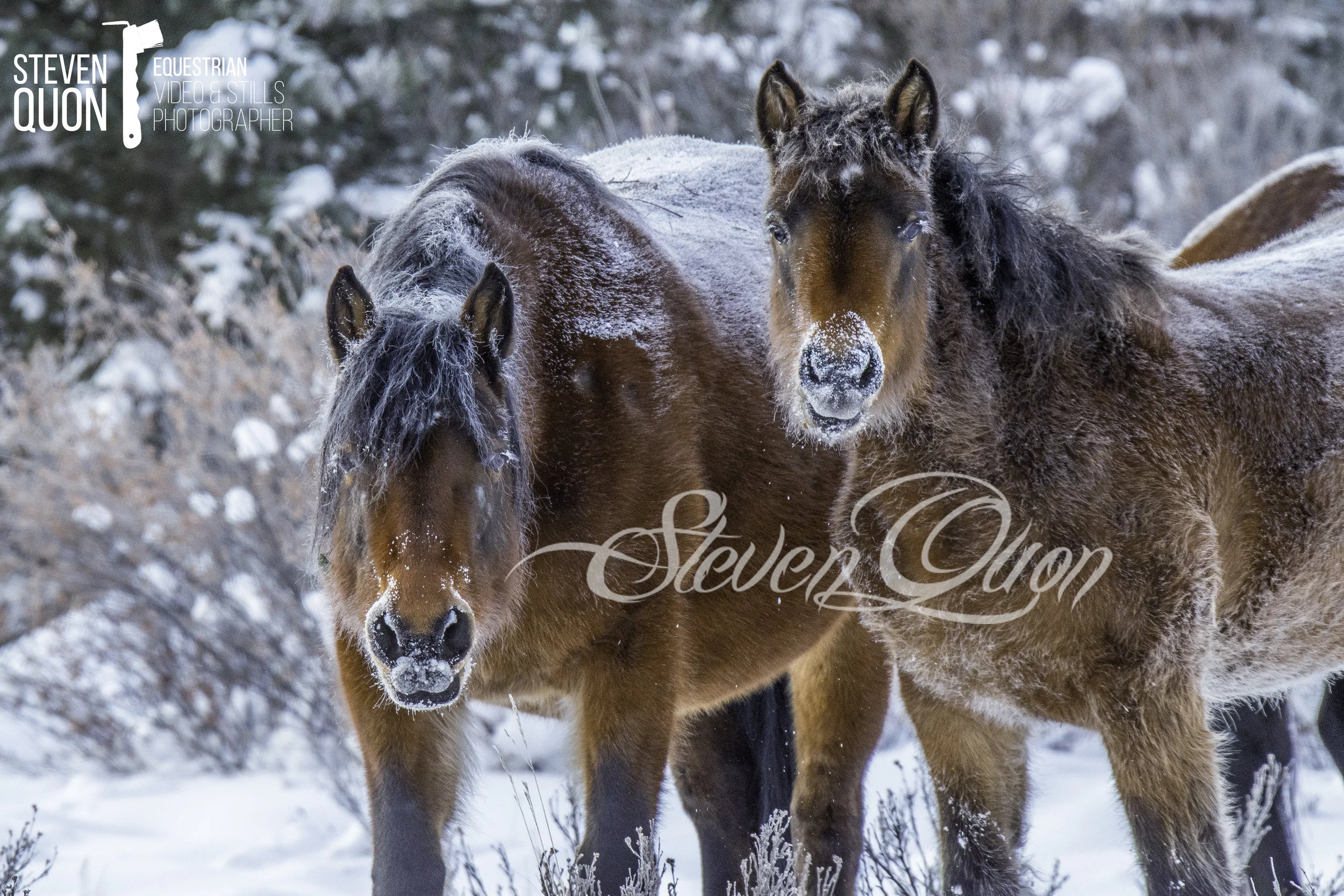 DSC_6975.jpg
