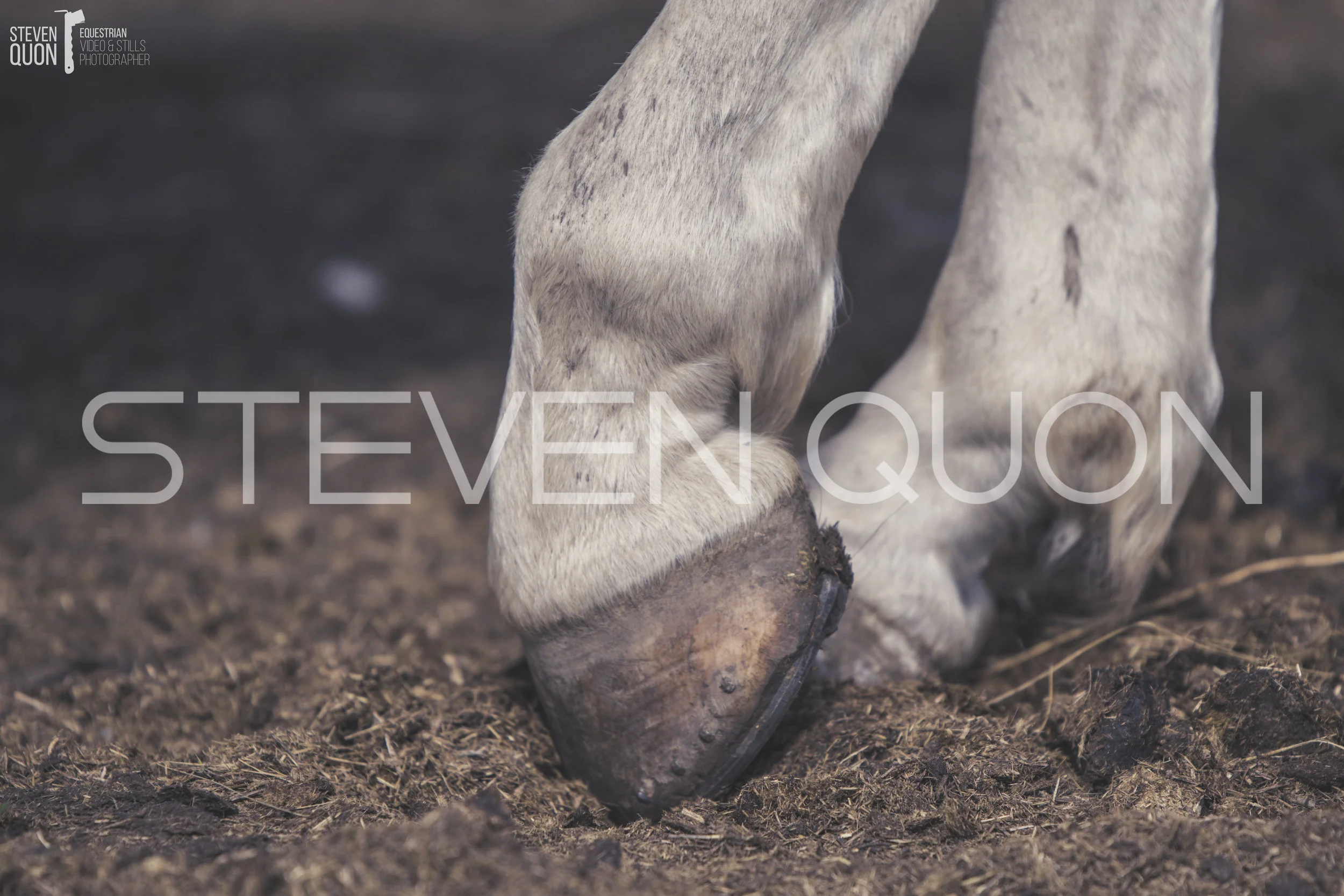 DSC_4840.jpg