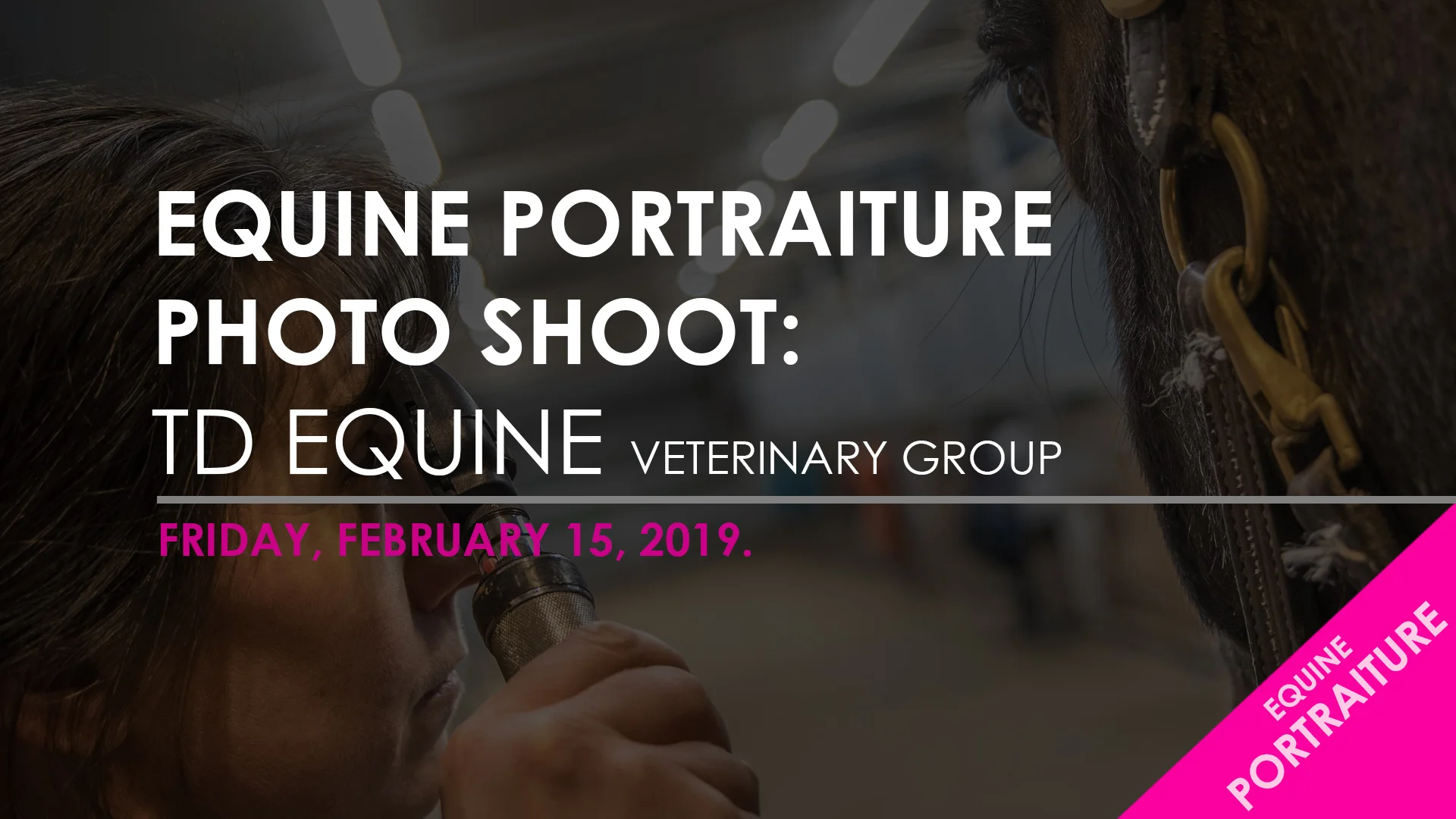 TD Equine Vet Group.jpg