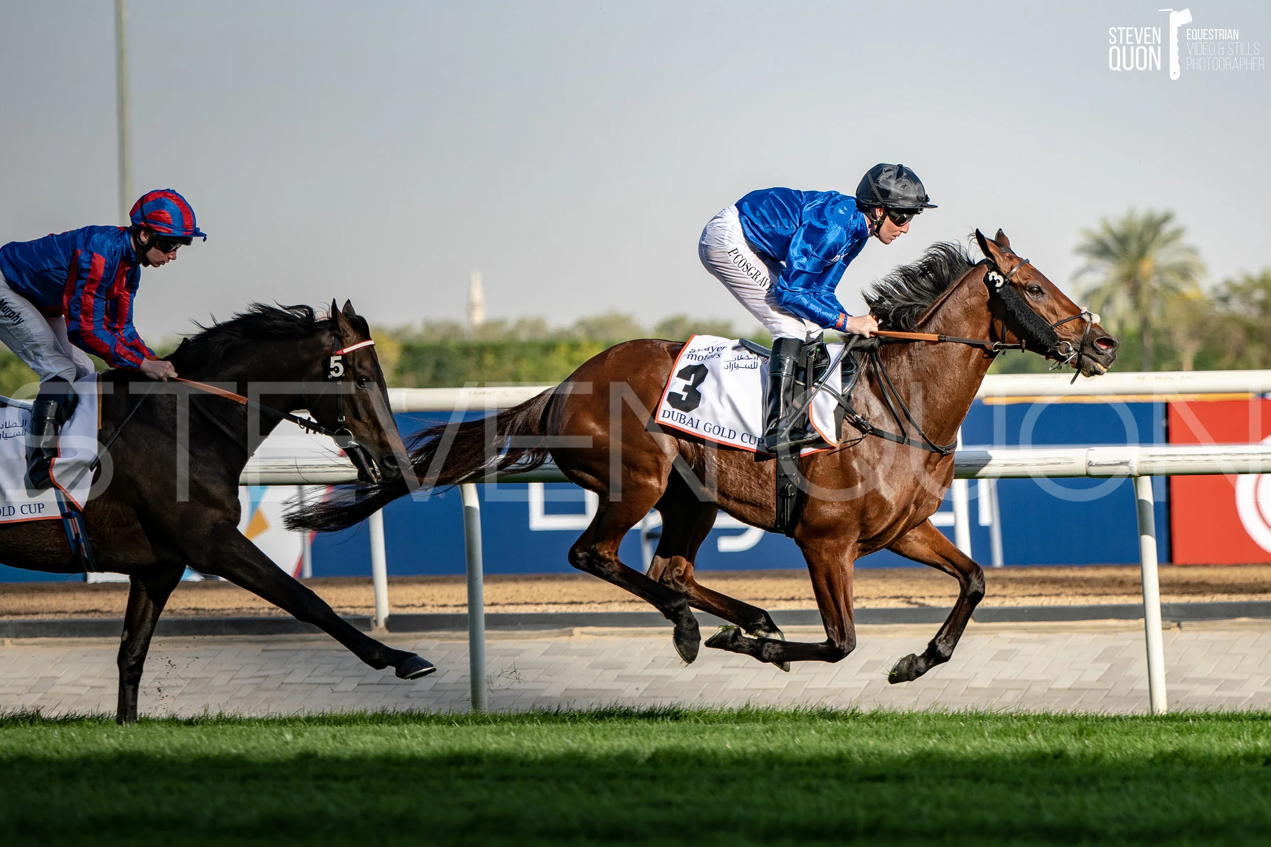 DSC_1806.jpg