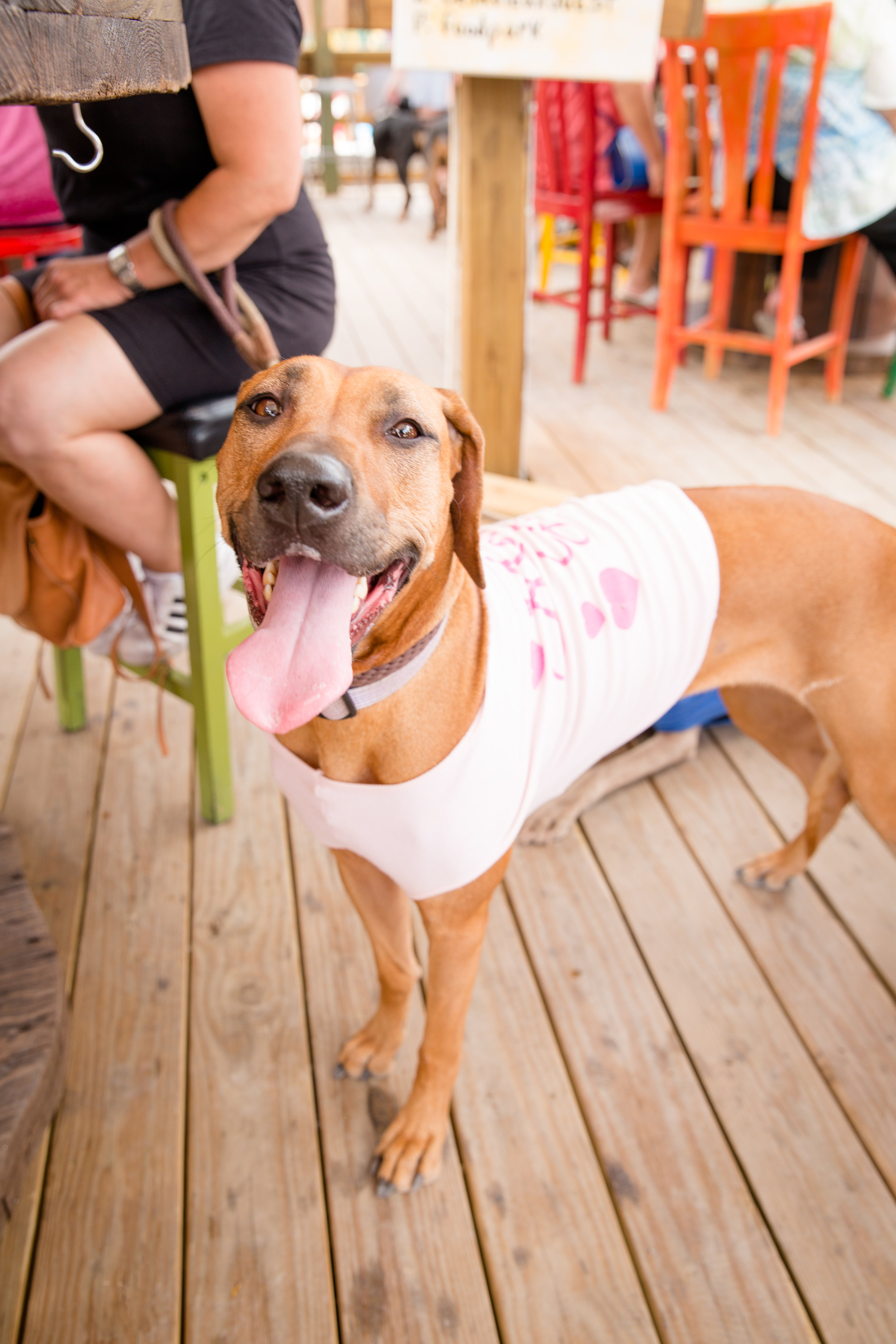 Dig Dog Mom's Day-12.jpg