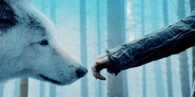 tumblr_nqf2niAKUt1u4tjqso1_400.gif