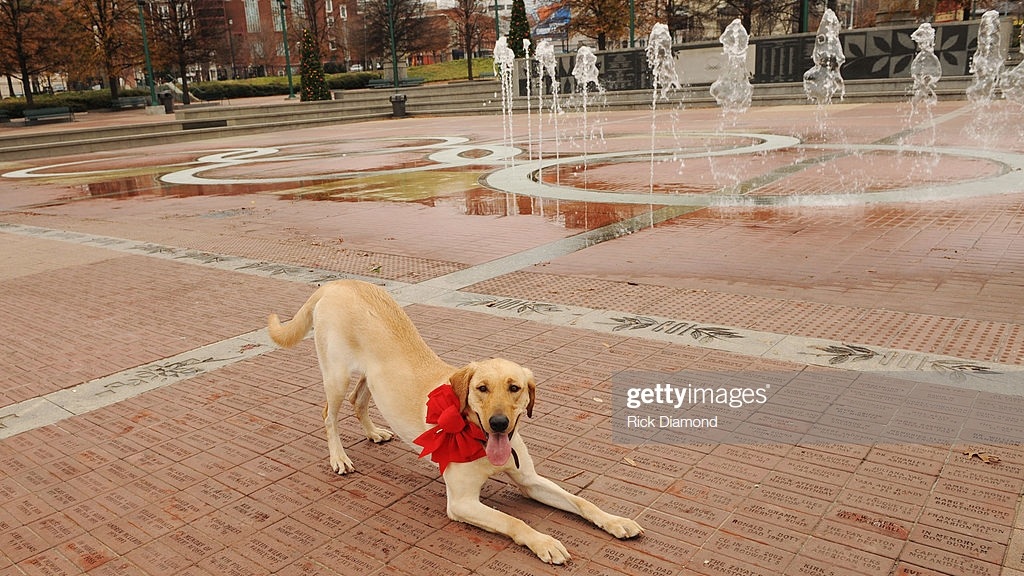 gettyimages-84050284-1024x1024.jpg