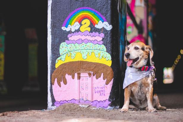 pet-friendly-atlanta-tiny-doors-1473985615.jpg
