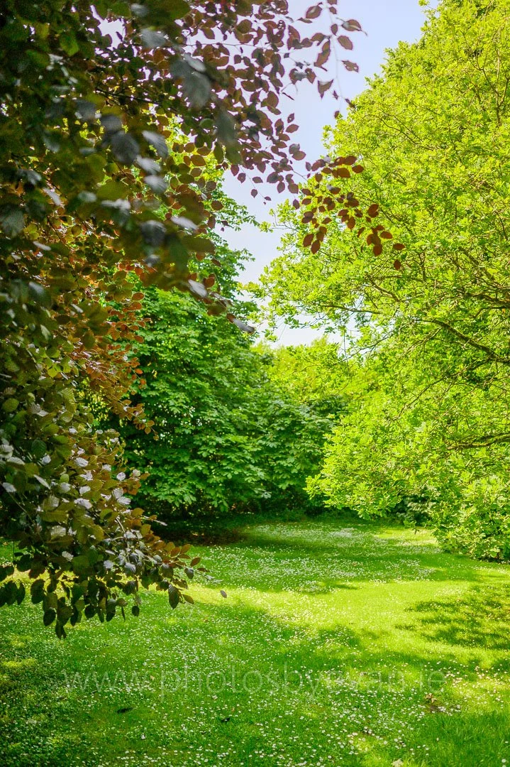Z62_1685.jpg
