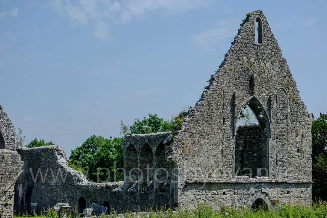 Z62_1615.jpg