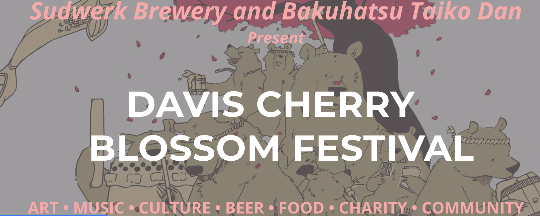 Davis Cherry Blossom Festival