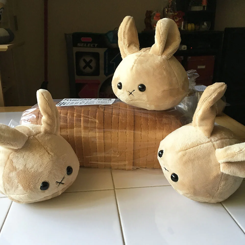 whole-wheat-bun-bunny-rabbit-cute-plush-group-kimchi-kawaii.jpg
